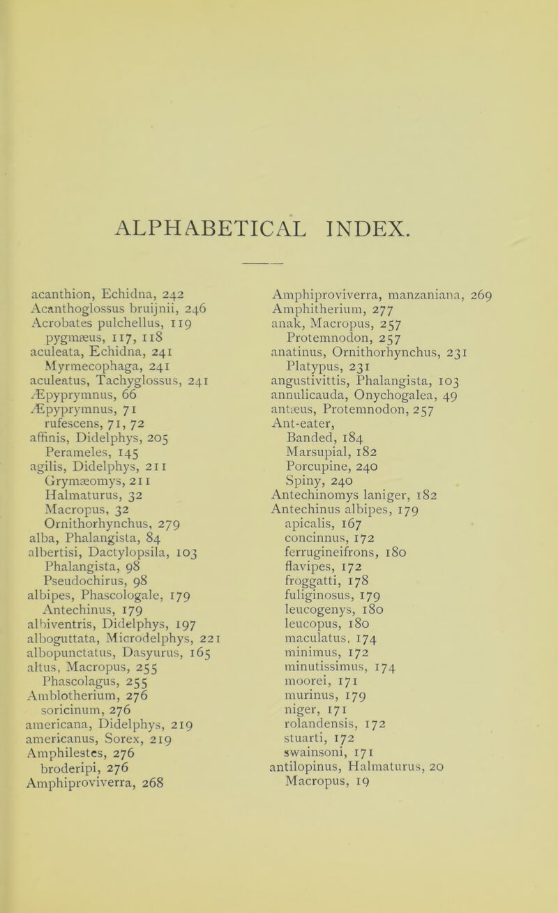 ALPHABETICAL INDEX. acanthion, Echidna, 242 Acanthoglo.ssus bruijnii, 246 Acrobates pulchellus, 119 pyginieus, 117, 118 aculeata, Echidna, 241 Myrmecophaga, 241 aculeatus, Tachyglossus, 241 /Epyprymnns, 66 Aipyprymnus, 71 rufescens, 71, 72 affinis, Didelphys, 205 Perameles, 145 agilis, Didelphys, 211 Grymseomys, 211 Halmaturus, 32 Macropus, 32 Ornithorhynchus, 279 alba, Phalangista, 84 albertisi, Dactylopsila, 103 Phalangista, 98 Pseudochirus, 98 albipes, Phascologale, 179 Antechinus, 179 albiventris, Didelphys, 197 alboguttata, Microdelphys, 221 albopunctatus, Dasyurus, 165 altus, Macropus, 255 Phascolagus, 255 xVmblotherium, 276 soricinum, 276 americana, Didelphys, 219 americanus, Sorex, 219 Amphilestes, 276 broderipi, 276 Amphiproviverra, manzaniana, Amphitherium, 277 anak. Macropus, 257 Protemnodon, 257 anatinus, Ornithorhynchus, 231 Platypus, 231 angustivittis, Phalangista, 103 annulicauda, Onychogalea, 49 antieus, Protemnodon, 257 Ant-eater, Banded, 184 Marsupial, 182 Porcupine, 240 Spiny, 240 Antechinomys laniger, 182 Antechinus albipes, 179 apicalis, 167 concinnus, 172 ferrugineifrons, 180 flavipes, 172 froggatti, 178 fuliginosus, 179 leucogenys, 180 leucopus, 180 maculatus, 174 minimus, 172 minutissimus, 174 moorei, 171 murinus, 179 niger, 171 rolandensis, 172 stuarti, 172 swainsoni, 171 antilopinus, Halmaturus, 20