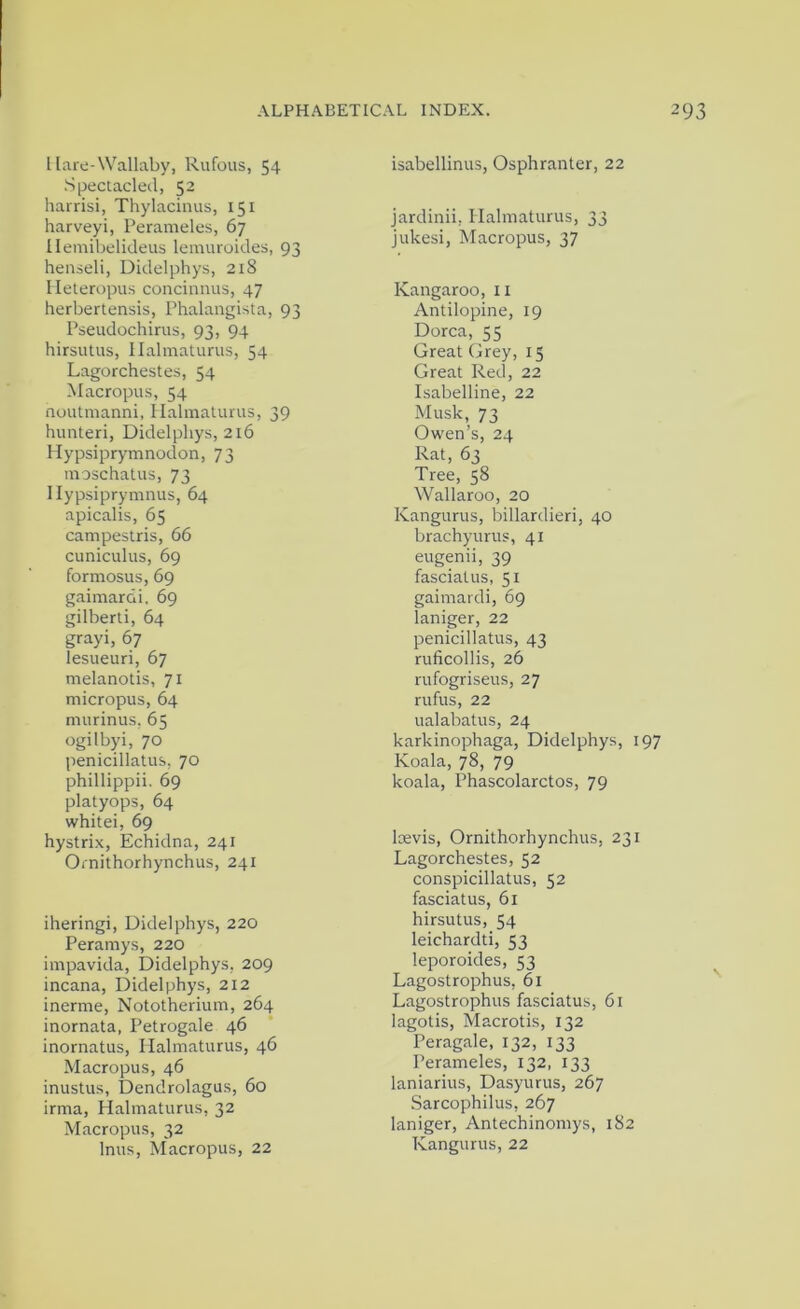 Hare-Wallaby, Rufous, 54 ■Spectacled, 52 liarrisi, Thylacinus, 151 harveyi, I’erameles, 67 llemibelideus lemuroides, 93 heuseli, Didelphys, 218 Ilelerupus concinnus, 47 herbertensis, Phalangista, 93 Pseudochirus, 93, 94 hirsutus, Ilalmaturus, 54 Lagorchestes, 54 Macropus, 54 noutnianni, Ilalmaturus, 39 hunteri, Didelphys, 216 Hypsiprymnodon, 73 moschatus, 73 Ilypsiprymnus, 64 apicalis, 65 campestris, 66 cuniculus, 69 formosus, 69 gaimardi. 69 gilberti, 64 grayi, 67 lesueuri, 67 melanotis, 71 micropus, 64 murinus, 65 ogilbyi, 70 penicillatus, 70 phillippii. 69 platyops, 64 whitei, 69 hystrix. Echidna, 241 Ornithorhynchus, 241 iheringi, Didelphys, 220 Peramys, 220 impavida, Didelphys, 209 incana, Didelphys, 212 inerme, Nototherium, 264 inornata, Petrogale 46 inornatus, Ilalmaturus, 46 Macropus, 46 inustus, Dendrolagus, 60 irma, Halmaturus, 32 Macropus, 32 Inus, Macropus, 22 isabellinus, Osphranter, 22 jardinii, Ilalmaturus, 33 jukesi. Macropus, 37 Kangaroo, 11 Antilopine, 19 Dorca, 55 Great Oey, 15 Great Red, 22 Isabelline, 22 Musk, 73 Owen’s, 24 Rat, 63 Tree, 58 Wallaroo, 20 Kangurus, billardieri, 40 brachyurus, 41 eugenii, 39 fasciatus, 51 gaimardi, 69 laniger, 22 penicillatus, 43 ruficollis, 26 rufogriseus, 27 rufus, 22 ualabatus, 24 karkinophaga, Didelphys, 197 Koala, 78, 79 koala, Phascolarctos, 79 IcEvis, Ornithorhynchus, 231 Lagorchestes, 52 conspicillatus, 52 fasciatus, 61 hirsutus, 54 leichardti, 53 leporoides, 53 Lagostrophus, 61 Lagostrophus fasciatus, 61 lagotis, Macrotis, 132 Peragale, 132, 133 Perameles, 132, 133 laniarius, Dasyurus, 267 Sarcophilus, 267 laniger, Antechinomys, 182 Kangurus, 22