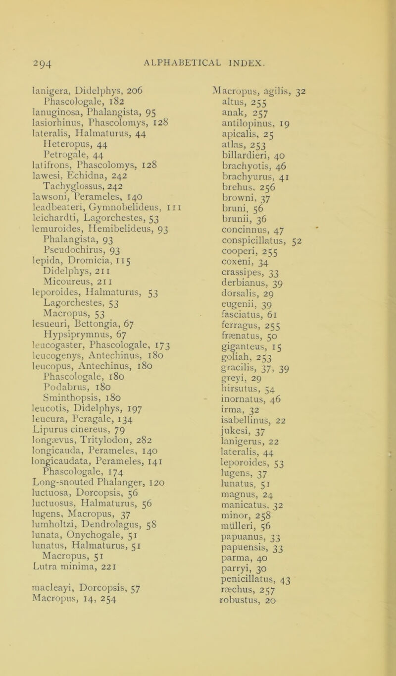 lanigera, Didelphys, 206 I’hascologale, 182 lanuginosa, Thalangista, 95 lasiorhinus, Phascolomys, 128 lateralis, llalinaturus, 44 Ileteropus, 44 Petrogale, 44 latifrons, Phascolomys, 128 lawesi, Echidna, 242 Tachyglossus, 242 lawsoni, Perameles, 140 leadbeateri, Gymnobelideus, in leichardti, Lagorchesles, 53 lemuroides, Hemibelideus, 93 Phalangista, 93 Pseudochirus, 93 lepida, Dromicia, 115 Didelphys, 211 Micoureus, 211 leporoides, llalinaturus, 53 Lagorchesles, 53 Macropus, 53 lesueuri, Bettongia, 67 Hypsiprymnus, 67 leucogaster, Phascologale, 173 leucogenys, Antechinus, 180 leucopus, Antechinus, 180 Phascologale, 180 Podabrus, 180 Sminthopsis, 180 leucotis, Didelphys, 197 leucura, Peragale, 134 Lipurus cinereus, 79 longievus, Tritylodon, 282 longicauda, Perameles, 140 longicaudata, Perameles, 141 Phascologale, 174 Long-snouted Phalanger, 120 luctuosa, Dorcopsis, 56 luctuosus, Ilalmaturus, 56 lugens. Macropus, 37 lumholtzi, Dendrolagus, 58 lunata, Onychogale, 51 lunatus, Halmaturus, 51 Macropus, 51 Lutra minima, 221 macleayi, Dorcopsis, 57 Macropus, 14, 254 Macropus, agilis, 32 altus, 255 anak, 257 antilopinus, 19 apicalis, 25 atl.as, 253 billardieri, 40 brachyotis, 46 brachyurus, 41 brehus. 256 browni, 37 bruni, 56 brunii, 36 concinnus, 47 conspicillatus, 52 cooperi, 255 coxeni, 34 crassipes, 33 derbianus, 39 dorsalis, 29 cugenii, 39 fasciatus, 61 ferragus, 255 frmnatus, 50 giganteus, 15 goliah, 253 gracilis, 37, 39 greyi, 29 hirsutus, 54 inornatus, 46 irma, 32 isabellinus, 22 jukesi, 37 lanigerus, 22 lateralis, 44 leporoides, 53 lugens, 37 lunatus, 51 magnus, 24 manicatus. 32 minor, 258 mlilleri, 36 papuanus, 33 papuensis, 33 parma, 40 parryi, 30 penicillatus, 43 rmchus, 257 robustus, 20