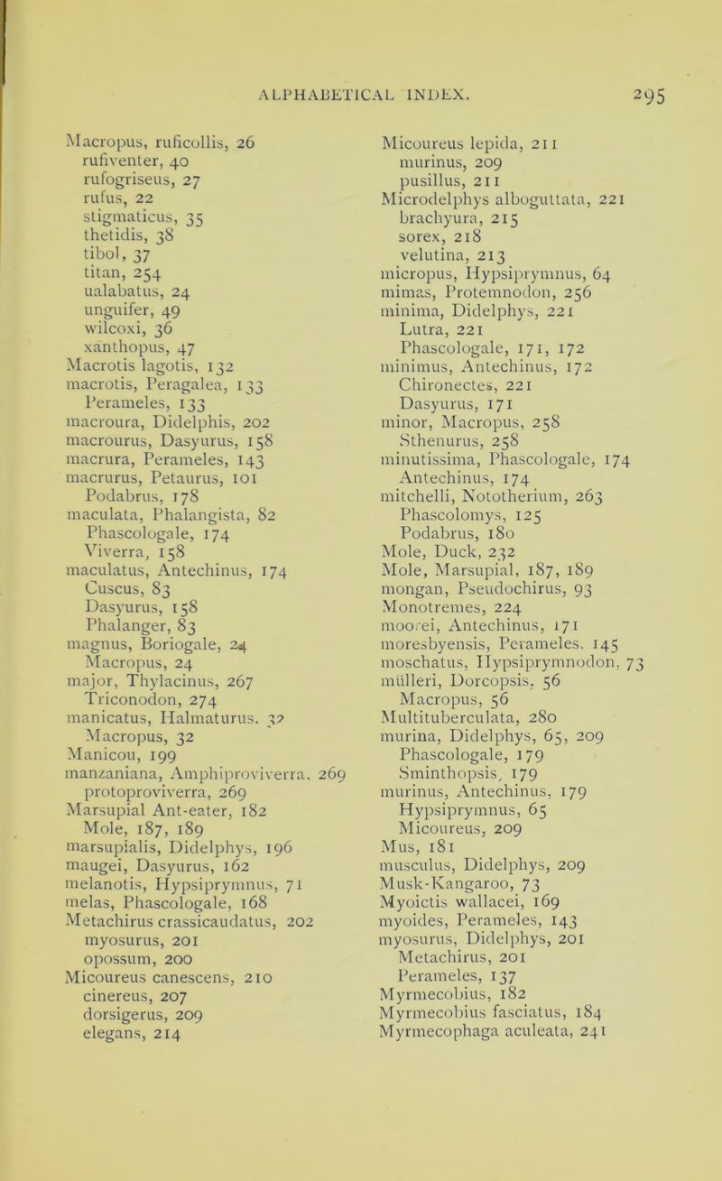Macropus, riificollis, 26 rufiventer, 40 rufogriseus, 27 rufus, 22 stigmaticus, 35 ihetidis, 38 tibol, 37 titan, 254 ualabatus, 24 unguifer, 49 vs'ilcoxi, 36 xanthopiis, 47 Macrotis lagotis, 132 macrotis, I’eragalea, 133 I’erameles, 133 macroura, Diclelphis, 202 macrourus, Dasyurus, 158 inacrura, Perameles, 143 macrurus, Petaurus, 101 Podabrus, 178 maculata, Phalangista, 82 Phascologale, 174 Viverra, 158 maculatus, Antechinus, 174 Cuscus, 83 Dasyurus, 158 Phalanger, 83 magnus, Boriogale, 24 Macropus, 24 major, Thylacinus, 267 Triconodon, 274 manicatus, Halmaturus. 37 Macropus, 32 Manicou, 199 inanzaniana, *Vmphiproviverra. 269 protoproviverra, 269 Marsupial Ant-eater, 182 Mole, 187, 189 marsupialis, Didelphys, 196 maugei, Dasyurus, 162 rnelanotis, Plypsiprymnus, 71 melas, Phascologale, 168 Metachirus crassicaudatus, 202 myosurus, 201 opossum, 200 Micoureus canescens, 210 cinereus, 207 dorsigerus, 209 elegans, 214 Micoureus lepida, 211 murinus, 209 pusillus, 211 Microdelphys alboguttata, 221 brachyura, 215 sorex, 218 velutina, 213 micropus, Plypsiprymnus, 64 mimas, Protemnodon, 256 minima, Didelphys, 221 Lutra, 221 Phascologale, 171, 172 minimus, Antechinus, 172 Chironectei, 221 Dasyurus, 171 minor, Macropus, 258 Sthenurus, 258 minutissima, Phascologale, 174 Antechinus, 174 mitchelli, Nototherium, 263 Phascolomys, 125 Podabrus, 180 Mole, Duck, 232 Mole, Marsupial, 187, 189 mongan, Pseudochirus, 93 Monotremes, 224 moorei, Antechinus, 171 moresbyensis, Perameles, 145 moschatus, Hypsiprymnodon, 73 mtilleri, Dorcopsis. 56 Macropus, 56 Multituberculata, 280 murina, Didelphys, 65, 209 Phascologale, 179 Sminthopsis, 179 murinus, Antechinus, 179 Hypsiprymnus, 65 Micoureus, 209 Mus, 181 musculus, Didelphys, 209 Musk-Kangaroo, 73 Myoictis wallacei, 169 myoides, Perameles, 143 myosurus, Didelphys, 201 Metachirus, 201 Perameles, 137 Myrmecobius, 182 Myrmecobius fasciatus, 184 Myrmecophaga aculeata, 241