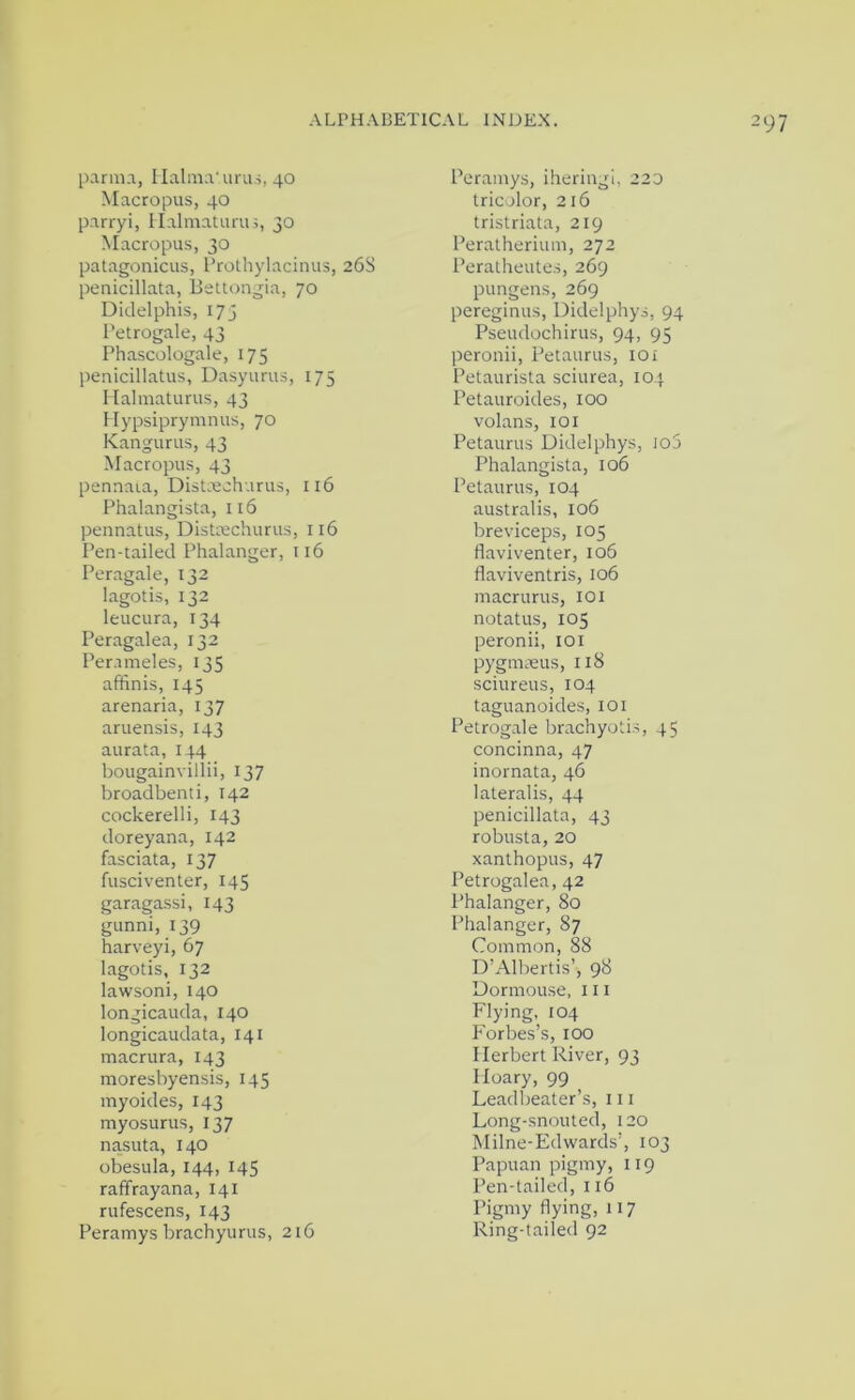 parma, Ilalma'uru.i, 40 Macropus, 40 parryi, ITalmaturuj, 30 Macropus, 30 patagonicus, I’rothylaciiius, 268 penicillata, Bettongia, 70 Didelphis, 173 I'etrogale, 43 Phascologale, 175 penicillatus, Dasyurus, 175 I lalmaturus, 43 Hypsiprymnus, 70 Kangurus, 43 Macropus, 43 pennara, Distxcharus, 116 Phalangista, 116 pennatus, Distrechurus, 116 Pen-tailed Phalanger, 116 Peragale, 132 lagotis, 132 leucura, 134 Peragalea, 132 Per.imeles, 135 affinis, 145 arenaria, 137 aruensis, 143 aurata, 144 bougainvillii, 137 broadbenti, 142 cockerelli, 143 doreyana, 142 fasciata, 137 fusci venter, 145 garagassi, 143 gunni, 139 harveyi, 67 lagotis, 132 lawsoni, 140 longicauda, 140 longicaudata, 141 macrura, 143 moresbyensis, 145 myoides, 143 myosurus, 137 nasuta, 140 obesula, 144, 145 raffrayana, 141 rufescens, 143 Peramys brachyurus, 216 Peramys, iheringl, 220 tricolor, 216 tristriata, 219 Peratheriuni, 272 Peratheutes, 269 pungens, 269 pereginus, Didelphys, 94 Pseudochirus, 94, 95 peronii, Petaurus, 10i Petaurista sciurea, 104 Petauroides, 100 volans, 101 Petaurus Didelphys, lOo Phalangista, 106 Petaurus, 104 australis, 106 breviceps, 105 flaviventer, 106 flaviventris, 106 macrurus, lOl notatus, 105 peronii, lOi pygmieus, 118 sciureus, 104 taguanoides, 101 Petrogale brachyotis, 45 concinna, 47 inornata, 46 lateralis, 44 penicillata, 43 robusta, 20 xanthopus, 47 Petrogalea, 42 Phalanger, 80 Phalanger, 87 Common, 88 D’Albertis’, 98 Dormouse, 111 Flying, 104 Forbes’s, 100 Herbert River, 93 Hoary, 99 Leadbeater’s, 111 Long-snouted, 120 Milne-Edwards’, 103 Papuan pigmy, 119 Pen-tailed, 116 Pigmy flying, 117 Ring-tailed 92