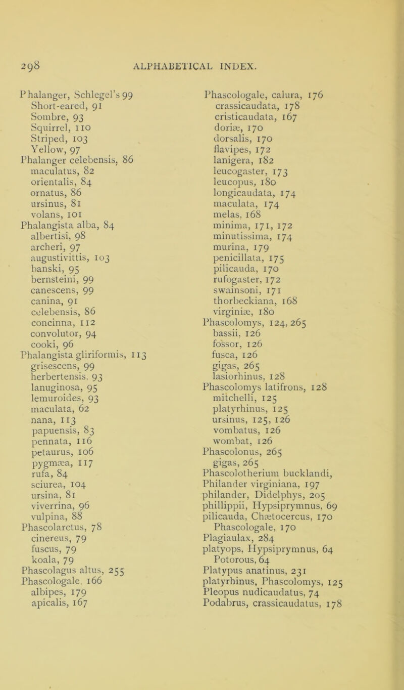 Phalanger, Schlegel’s 99 Short-eared, 91 Sombre, 93 Squirrel, HO Striped, 103 Yellow, 97 Phalanger celebensis, 86 maculatus, 82 orientalis, 84 ornatus, 86 ursinus, 81 volans, loi Phalangista alba, 84 albertisi, 98 archeri, 97 augustivittis, 103 banski, 95 bernsteini, 99 canescens, 99 canina, 91 colebensii, 86 concinna, 112 convolutor, 94 cooki, 96 Phalangista gliriformib, 113 grisescens, 99 herbertensis, 93 lanuginosa, 95 lemuroides, 93 maculata, 62 nana, 113 papuensis, 83 pennata, 116 petaurus, 106 pygmcea, 117 rufa, 84 sciurea, 104 ursina, 81 viverrina, 96 vulpina, 88 Phascolarctus, 78 cinereus, 79 fuscus, 79 koala, 79 Phascolagus altus, 255 Phascologale. 166 albipes, 179 apicalis, 167 Phascologale, calura, 176 crassicaudata, 178 cristicaudata, 167 doriie, 170 dorsalis, 170 flavipes, 172 lanigera, 182 leucogaster, 173 leucopus, I So longicaudata, 174 maculata, 174 melas, 168 minima, 171, 172 minutissima, 174 murina, 179 penicillata, 175 pilicauda, 170 rufogaster, 172 swainsoni, 171 thorbeckiana, 168 Virginia, 180 Phascolomys, 124,265 bassii, 126 fo'ssor, 126 fusca, 126 gigas, 265 lasiorhinus, 128 Phascolomys latifrons, 128 mitchelli, 125 platyrhinus, 125 ursinus, 125, 126 vombatus, 126 wombat, 126 Phascolonus, 265 gigas, 265 Phascolotherium bucklandi. Philander virginiana, 197 philander, Didelphys, 205 phillippii, Hypsiprymnus, 69 pilicauda, Chtetocercus, 170 Phascologale, 170 Plagiaulax, 284 platyops, Hypsiprymnus, 64 Potorous, 64 Platypus anatinus, 231 platyrhinus, Phascolomys, 125 Pleopus nudicaudatus, 74 Podabrus, crassicaudatus, 178