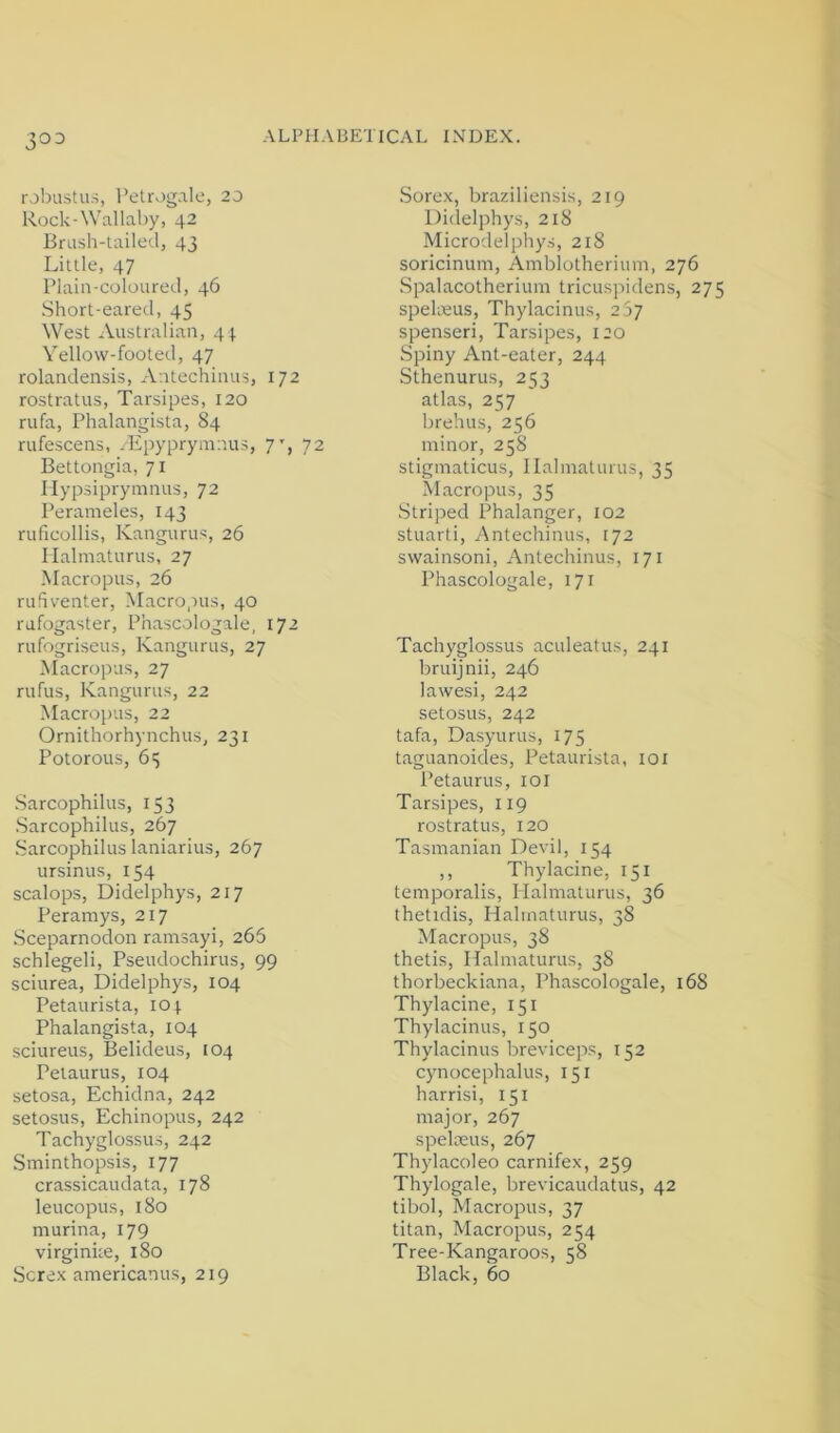 30D i jlnistus, I'etrog.ale, 20 Rock-Wallaby, 42 Brush-tailed, 43 Little, 47 Plain-coloured, 46 Short-eared, 45 West Australian, 44. Yellow-footed, 47 rolandensis, Antechinus, 172 rostratus, Tarsipes, 120 rufa, Phalangista, 84 rufescens, ^-Epyprymnus, 7', 72 Bettongia, 71 Mypsiprymnus, 72 Perameles, 143 ruficollis, Kangurus, 26 Ilalmaturus, 27 Macropus, 26 ruhventer. Macropus, 40 rufogaster, Phascologale, 172 rufngriseus, Kangurus, 27 Macropus, 27 rufus, Kangurus, 22 Macropus, 22 Ornithorhynchus, 231 Potorous, 65 Sarcophilus, 153 •Sarcophilus, 267 Sarcophilus laniarius, 267 ursinus, 154 scalops, Didelphys, 217 Peramys, 217 Sceparnodon ramsayi, 265 schlegeli, Pseudochirus, 99 sciurea, Didelphys, 104 Petaurista, 104. Phalangista, 104 sciureus, Belideus, 104 Petaurus, 104 setosa. Echidna, 242 setosus, Echinopus, 242 Tachyglossus, 242 Sminthopsis, 177 crassicaudata, 178 leucopus, 180 murina, 179 virginue, 180 Screx americanus, 219 Sorex, braziliensis, 219 Didelphys, 218 Microdelphys, 218 soricinum, Amblotherium, 276 Spalacotherium tricuspidens, 275 spelreus, Thylacinus, 267 spenseri, Tarsipes, 120 Spiny Ant-eater, 244 Sthenurus, 253 atlas, 257 brehus, 256 minor, 258 stigmaticus, Ilalmaturus, 35 Macropus, 35 Striped Phalanger, 102 stuarti, Antechinus, 172 swainsoni, Antechinus, 171 Phascologale, 171 Tachyglossus aculeatus, 241 bruijnii, 246 lawesi, 242 setosus, 242 tafa, Dasyurus, 175 taguanoides, Petaurista, loi Petaurus, loi Tarsipes, 119 rostratus, 120 Tasmanian Devil, 154 ,, Thylacine, 151 temporalis, Ilalmaturus, 36 thetidis, Hahnaturus, 38 Macropus, 38 thetis, Hahnaturus, 38 thorbeckiana, Phascologale, 168 Thylacine, 151 Thylacinus, 150 Thylacinus breviceps, 152 cynocephalus, 151 harrisi, 151 major, 267 spelreus, 267 Thylacoleo carnifex, 259 Thylogale, brevicaudatus, 42 tibol. Macropus, 37 titan. Macropus, 254 Tree-Kangaroos, 58 Black, 60