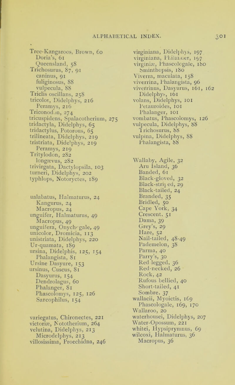 Tree-Kangaroos, Bro%vn, 6o Doria’s, 6i Queensland, 5S Trichosurus, 87, 91 caninus, 91 fuliginosus, 88 vulpecula, 88 Triclis oscillan.s, 258 tricolor, Didelphys, 216 Peramys, 216 Triconodon, 274 tricuspidcns, Spalacotherium, 275 tridactyla, Didelphys, 65 tridactylus, Potorous, 65 trilineata, Didelphys, 219 tristriata, Dide'phys, 219 Peramys, 219 Tritylodon, 282 longrevus, 282 trivirgata, Dactylopsila, 103 turneri, Didelphys, 202 typhlops, Notoryctes, 1S9 ualabatus, Ilalmaturus, 24 Kangurus, 24 Macropus, 24 unguifer, Halmalurus, 49 Macropus, 49 unguifera, Onych' gale, 49 unicolor, Dromicia, 113 unistriata, Didelphys, 220 Ur-quamata, 189 ursina, Didelphis, 125, 154 Phalangista, 81 Ursine Dasyure, 153 ursinus, Cuscus, 81 Dasyurus, 154 Dendrolagus, 60 Phalanger, 81 Phascolomys, 125, 126 Sarcophilus, 154 variegatus, Chironectes, 221 victorise, Kototherium, 264 velutina, Didelphys, 213 Microdelphys, 213 villosissima. Proechidna, 246 virginiana, Didelplns, 197 virginiana, PLiJai.oer, 197 Virginia;, I'hascolcgale, 180 bminthopsis, 180 Viverra, maculala, 158 viverrina, Phalangista, 96 viverrinus, Dasyurus, 161, 162 Didelphy.'-, ibi volans, Didelphys, lOl Petauroides, loi Phalanger, loi vombatus, Phascolomys, 126 vulpecula, Didelphys, 88 1 richosurus, 88 vulpina, Didelphys, 88 Phalangista, 88 Wallaby, Agile, 32 Aru island, 36 Banded, 61 Black-gloved, 32 Black-stri} ed, 29 Black-tailed, 24 Branded, 35 Bridled, 50 Cape York, 34 Crescent, 51 Dama, 39 Grey’s, 29 Hare, 52 Nail-tailed, 48-49 Pademelon, 38 Parma, 40 Parry’s, 30 Red legged, 36 Red-necked, 26 Rock, 42 Rufous bellied, 40 Short-tailed, 41 Sombre, 37 wallacii, Myoictis, 169 ]’ha.scologale, 169, 170 Wallaroo, 20 waterhousei, Didelphys, 207 Water-Opossum, 221 whitei, llypsiprymnus, 69 wilcoxi, Ilalmaturus, 36 Macropus, 36