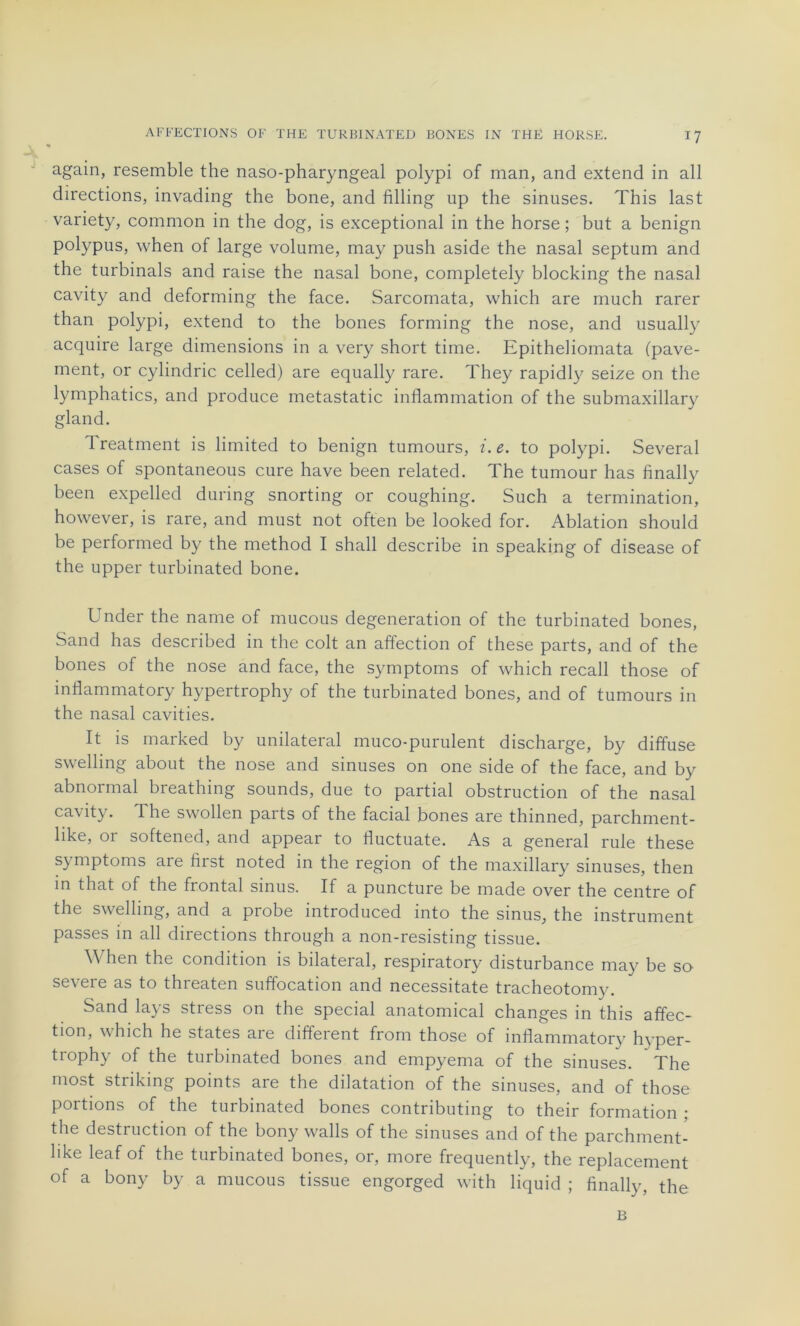 again, resemble the naso-pharyngeal polypi of man, and extend in ail directions, invading the bone, and filling up the sinuses. This last variety, common in the dog, is exceptional in the horse ; but a benign polypus, when of large volume, may push aside the nasal septum and the turbinais and raise the nasal bone, completely blocking the nasal cavity and deforming the face. Sarcomata, which are much rarer than polypi, extend to the bones forming the nose, and usually acquire large dimensions in a very short time. Epitheliomata (pave- ment, or cylindric celled) are equally rare. They rapidly seize on the lymphatics, and produce metastatic inflammation of the submaxillary gland. Treatment is limited to benign tumours, i.e. to polypi. Several cases of spontaneous cure hâve been related. The tumour has finally been expelled during snorting or coughing. Such a termination, however, is rare, and must not often be looked for. Ablation should be performed by the method I shall describe in speaking of disease of the upper turbinated bone. Under the naine of mucous degeneration of the turbinated bones, Sand has described in the colt an affection of these parts, and of the bones of the nose and face, the symptoms of which recall those of inflammatory hypertrophy of the turbinated bones, and of tumours in the nasal cavities. It is marked by unilatéral muco-purulent discharge, by diffuse swelling about the nose and sinuses on one side of the face, and by abnormal breathing sounds, due to partial obstruction of the nasal cavity. The swollen parts of the facial bones are thinned, parchment- like, or softened, and appear to fluctuate. As a general rule these symptoms are fiist noted in the région of the maxillary sinuses, then in that of the frontal sinus. If a puncture be made over the centre of the swelling, and a probe introduced into the sinus, the instrument passes in ail directions through a non-resisting tissue. When the condition is bilateral, respiratory disturbance may be so severe as to threaten suffocation and necessitate tracheotomy. Sand lays stress on the spécial anatomical changes in this affec- tion, which he States are different from those of inflammatory hyper- trophy of the turbinated bones and empyema of the sinuses. The most striking points are the dilatation of the sinuses, and of those portions of the turbinated bones contributing to their formation ; the destruction of the bony walls of the sinuses and of the parchment- hke leaf of the turbinated bones, or, more frequently, the replacement of a bony by a mucous tissue engorged with liquid ; finally, the B