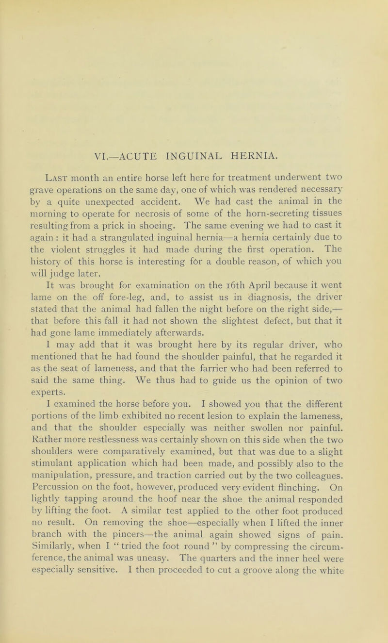 VI.—ACUTE INGUINAL HERNIA. Last month an entire horse left here for treatment underwent two grave operations on the same day, one of which was rendered necessar)’ by a qnite unexpected accident. We had cast the animal in the morning to operate for necrosis of some of the horn-secreting tissues resnlting from a prick in shoeing. The same evening we had to cast it again : it had a strangulated inguinal hernia—a hernia certainly due to the violent struggles it had made during the first operation. The history of this horse is interesting fôr a double reason, of which you will judge later. It was brought for examination on the iôth April because it went lame on the off fore-leg, and, to assist us in diagnosis, the driver stated that the animal had fallen the night before on the right side,— that before this fall it had not shown the slightest defect, but that it had gone lame immediately afterwards. I may add that it was brought here by its regular driver, who mentioned that he had found the shoulder painful, that he regarded it as the seat of lameness, and that the farrier who had been referred to said the same thing. We thus had to guide us the opinion of two experts. I examined the horse before you. I showed you that the different portions of the limb exhibited no recent lésion to explain the lameness, and that the shoulder especially was neither swollen nor painful. Rather more restlessness was certainly shown on this side when the two shoulders were comparatively examined, but that was due to a slight stimulant application which had been made, and possibly also to the manipulation, pressure, and traction carried out by the two colleagues. Percussion on the foot, however, produced very évident flinching. On lightly tapping around the hoof near the shoe the animal responded by lifting the foot. A similar test applied to the other foot produced no resuit. On removing the shoe—especially when I lifted the inner branch with the pincers—the animal again showed signs of pain. Similarly, when I “ tried the foot round ” by compressing the circum- ference, the animal was uneasy. The quarters and the inner heel were