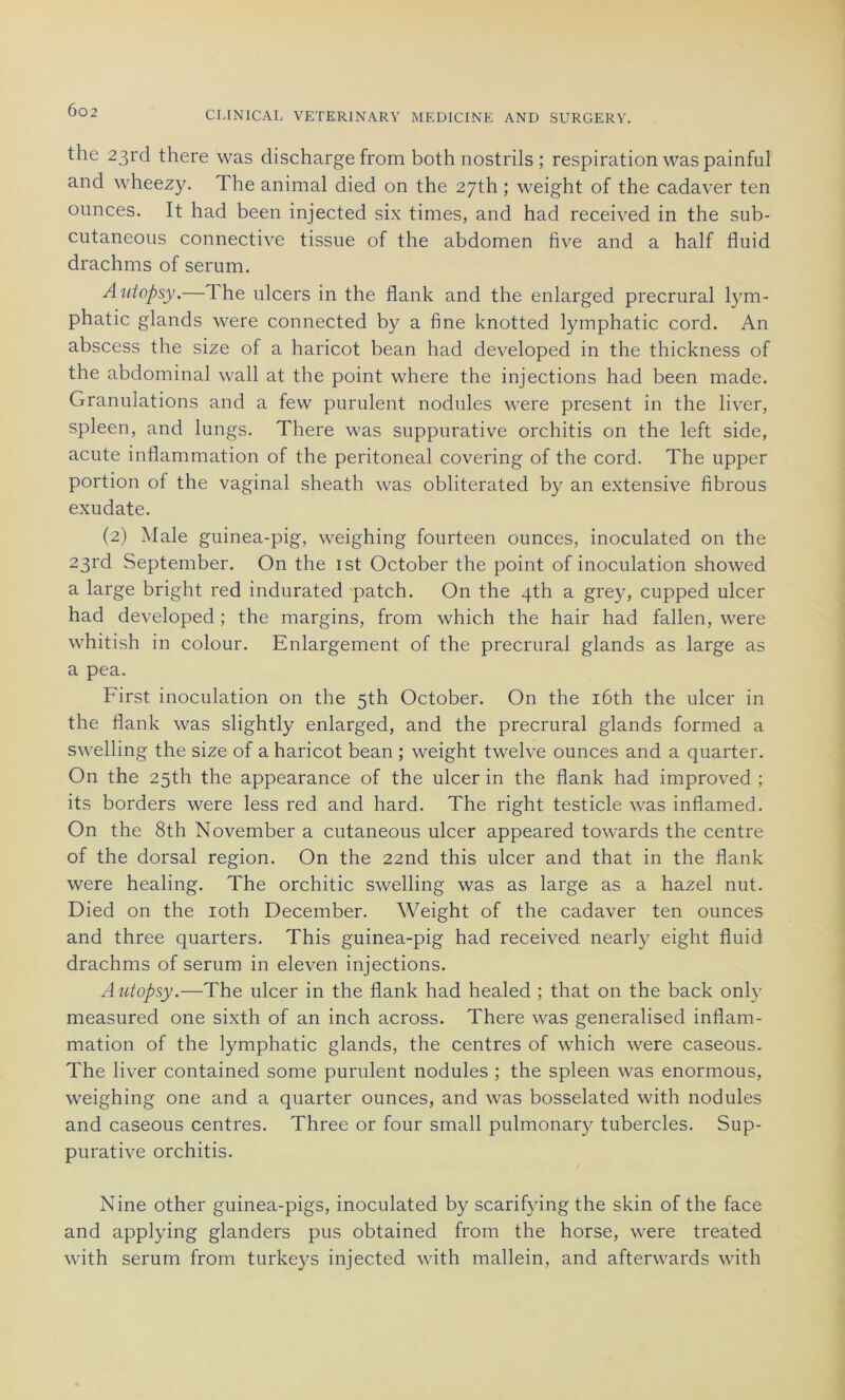 002 the 23rd there was discharge from both nostrils ; respiration was painful and wheezy. The animal died on the 27th ; weight of the cadaver ten ounces. It had been injected six times, and had received in the sub- cutaneous connective tissue of the abdomen five and a half fluid drachms of sérum. Autopsy.—The ulcers in the flank and the enlarged precrural lym- phatic glands were connected by a fine knotted lymphatic cord. An abscess the size of a haricot bean had developed in the thickness of the abdominal wall at the point where the injections had been made. Granulations and a few purulent nodules were présent in the liver, spleen, and lungs. There was suppurative orchitis on the left side, acute inflammation of the peritoneal covering of the cord. The upper portion of the vaginal sheath was obliterated by an extensive fibrous exudate. (2) Male guinea-pig, weighing fourteen ounces, inoculated on the 23rd September. On the ist October the point of inoculation showed a large bright red indurated patch. On the 4th a grey, cupped ulcer had developed ; the margins, from which the hair had fallen, were whitish in colour. Enlargement of the precrural glands as large as a pea. First inoculation on the 5th October. On the iôth the ulcer in the flank was slightly enlarged, and the precrural glands formed a swelling the size of a haricot bean ; weight twelve ounces and a quarter. On the 25th the appearance of the ulcer in the flank had improved ; its borders were less red and hard. The right testicle was inflamed. On the 8th November a cutaneous ulcer appeared towards the centre of the dorsal région. On the 22nd this ulcer and that in the flank were healing. The orchitic swelling was as large as a hazel nut. Died on the ioth December. Weight of the cadaver ten ounces and three quarters. This guinea-pig had received nearly eight fluid drachms of sérum in eleven injections. Autopsy.—The ulcer in the flank had healed ; that on the back only measured one sixth of an inch across. There was generalised inflam- mation of the lymphatic glands, the centres of which were caseous. The liver contained some purulent nodules ; the spleen was enormous, weighing one and a quarter ounces, and was bosselated with nodules and caseous centres. Three or four small pulmonary tubercles. Sup- purative orchitis. Nine other guinea-pigs, inoculated by scarifying the skin of the face and applying glanders pus obtained from the horse, were treated with sérum from turkeys injected with mallein, and afterwards with