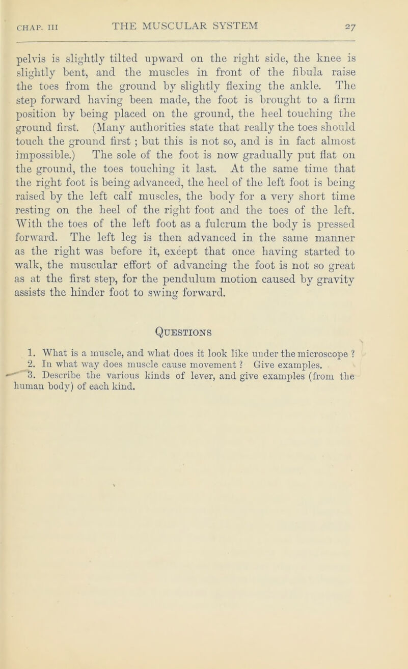 pelvis is slightly tilted upward on the right side, the knee is slightly bent, and the muscles in front of the fibula raise the toes from the ground by slightly flexing the ankle. The step forward having been made, the foot is brought to a firm position by being placed on the ground, the heel touching the ground first. (Many authorities state that really the toes should touch the ground first; but this is not so, and is in fact almost impossible.) The sole of the foot is now gradually put flat on the ground, the toes touching it last. At the same time that the right foot is being advanced, the heel of the left foot is being raised by the left calf muscles, the body for a very short time resting on the heel of the right foot and the toes of the left. With the toes of the left foot as a fulcrum the body is pressed forward. The left leg is then advanced in the same manner as the right was before it, except that once having started to walk, the muscular effort of advancing the foot is not so great as at the first step, for the pendulum motion caused by gravity assists the hinder foot to swing forward. O Questions 1. What is a muscle, and what does it look like under the microsco^De ? 2. In what way does muscle cause movement ? Give examples, 3. Describe the various kinds of lever, and give examples (from the human body) of each kind.