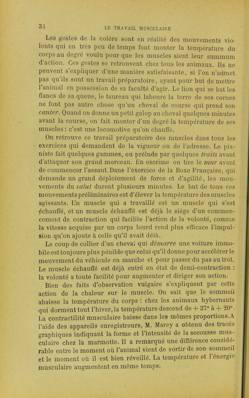 Les gestes de la colère sont en réalité des mouvements vio- lents qui en très peu de temps font monter la température du corps au degré voulu pour que les muscles aient leur summum d’action. Ces gestes se retrouvent chez tous les animaux. Ils ne peuvent s’expliquer d’une manière satisfaisante, si l’on n’admet pas qu’ils sont un travail préparatoire, ayant pour but de mettre l’animal en possession de sa faculté d’agir. Le lion qui se bat les flancs de sa queue, le taureau qui laboure la terre de ses cornes ne font pas autre chose qu’un cheval de course qui prend son canter. Quand on donne un petit galop au cheval quelques minutes avant la course, on fait monter d’un degré la température de ses muscles : c’est une locomotive qu’on chauffe. On retrouve ce travail préparatoire des muscles dans tous les exercices qui demandent de la vigueur ou de l’adresse. Le pia- niste fait quelques gammes, ou prélude par quelques traits avant d’attaquer son grand morceau. En escrime on tire le mur avant de commencer l’assaut. Dans l’exercice de la Boxe Française, qui demande un grand déploiement de force et d’agilité, les mou- vements salut durent plusieurs minutes. Le but de tous ces mouvements préliminaires est d’élever la température des muscles agissants. Un muscle qui a travaillé est un muscle qui s’est échauffé, et un muscle échauffé est déjà le siège d’un commen- cement de contraction qui facilite l’action de la volonté, comme la vitesse acquise par un corps lourd rend plus efficace l’impul- sion qu’on ajoute à celle qu’il avait déià.. Le coup de collier d’un cheval qui démarre une voiture immo- bile est touj ours plus pénible que celui qu’il donne pour accélérer le mouvement du véhicule en marche et pour passer du pas au trot. Le muscle échauffé est déjà entré en état de demi-contraction ; la volonté a toute facilité pour augmenter et diriger son action. Bien des faits d’observation vulgaire s’expliquent par cette action de la chaleur sur le muscle. On sait que le sommeil abaisse la température du corps ; chez les animaux hybernants qui dorment tout l’hiver, la température descend de -j- 37° à -f- 20°. La contractilité musculaire baisse dans les mêmes proportions. A l’aide des appareils enregistreurs, M. Marey a obtenu des tracés graphiques indiquant la forme et l’intensité de la secousse mus- culaire chez la marmotte. Il a remarqué une différence considé- rable entre le moment où l’animal vient de sortir de son sommeil et le moment où il est bien réveillé. La température et 1 énergie musculaire augmentent en môme temps.