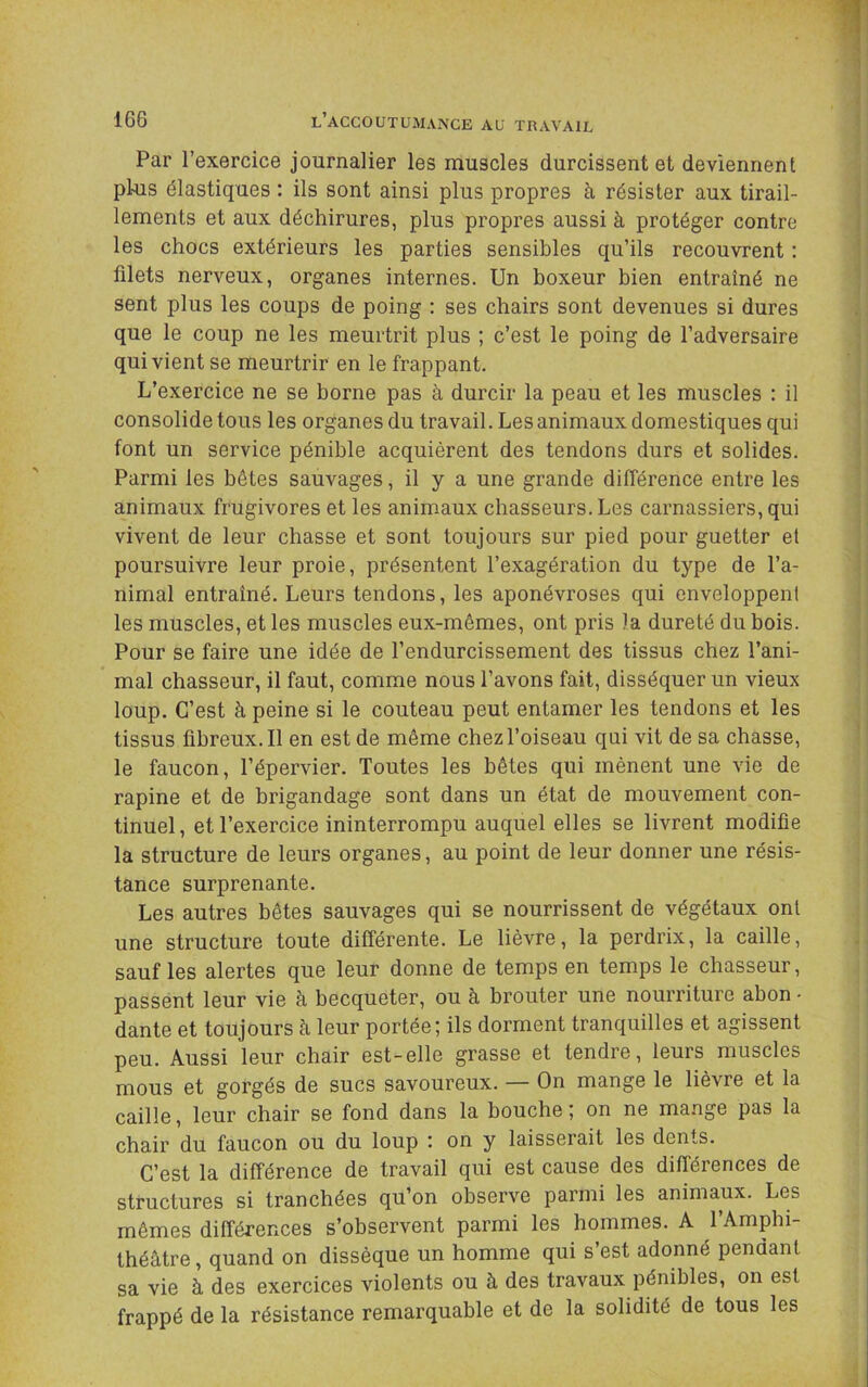 Par l’exercice journalier les muscles durcissent et deviennent plus élastiques : ils sont ainsi plus propres à résister aux tirail- lements et aux déchirures, plus propres aussi à protéger contre les chocs extérieurs les parties sensibles qu’ils recouvrent : filets nerveux, organes internes. Un boxeur bien entraîné ne sent plus les coups de poing : ses chairs sont devenues si dures que le coup ne les meurtrit plus ; c’est le poing de l’adversaire qui vient se meurtrir en le frappant. L’exercice ne se borne pas à durcir la peau et les muscles : il consolide tous les organes du travail. Les animaux domestiques qui font un service pénible acquièrent des tendons durs et solides. Parmi les bêtes sauvages, il y a une grande différence entre les animaux frugivores et les animaux chasseurs. Les carnassiers, qui vivent de leur chasse et sont toujours sur pied pour guetter et poursuivre leur proie, présentent l’exagération du type de l’a- nimal entraîné. Leurs tendons, les aponévroses qui enveloppent les muscles, et les muscles eux-mêmes, ont pris la dureté du bois. Pour se faire une idée de l’endurcissement des tissus chez l’ani- mal chasseur, il faut, comme nous l’avons fait, disséquer un vieux loup. C’est à peine si le couteau peut entamer les tendons et les tissus fibreux.il en est de même chez l’oiseau qui vit de sa chasse, le faucon, l’épervier. Toutes les bêtes qui mènent une vie de rapine et de brigandage sont dans un état de mouvement con- tinuel , et l’exercice ininterrompu auquel elles se livrent modifie la structure de leurs organes, au point de leur donner une résis- tance surprenante. Les autres bêtes sauvages qui se nourrissent de végétaux ont une structure toute différente. Le lièvre, la perdrix, la caille, sauf les alertes que leur donne de temps en temps le chasseur, passent leur vie à becqueter, ou à brouter une nourriture abon • dante et toujours à leur portée; ils dorment tranquilles et agissent peu. Aussi leur chair est-elle grasse et tendre, leurs muscles mous et gorgés de sucs savoureux. — On mange le lièvre et la caille, leur chair se fond dans la bouche; on ne mange pas la chair du faucon ou du loup : on y laisserait les dents. C’est la différence de travail qui est cause des différences de structures si tranchées qu’on observe parmi les animaux. Les mêmes différences s’observent parmi les hommes. A l’Amphi- théâtre , quand on dissèque un homme qui s’est adonné pendant sa vie à des exercices violents ou à des travaux pénibles, on est frappé de la résistance remarquable et de la solidité de tous les
