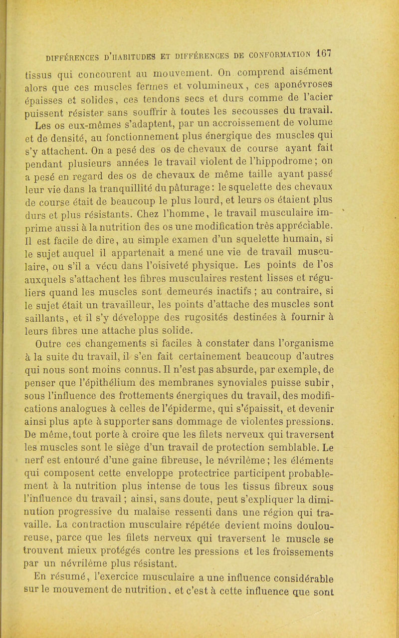 tissus qui concourent au mouvement. On comprend aisément alors que ces muscles fermes et volumineux, ces aponévroses épaisses et solides, ces tendons secs et durs comme de l’acier puissent résister sans souffrir à toutes les secousses du travail. Les os eux-mêmes s’adaptent, par un accroissement de volume et de densité, au fonctionnement plus énergique des muscles qui s’y attachent. On a pesé des os de chevaux de course ayant fait pendant plusieurs années le travail violent de l’hippodrome ; on a pesé en regard des os de chevaux de même taille ayant passé leur vie dans la tranquillité du pâturage: le squelette des chevaux de course était de beaucoup le plus lourd, et leurs os étaient plus durs et plus résistants. Chez l’homme, le travail musculaire im- ' prime aussi à la nutrition des os une modification très appréciable. Il est facile de dire, au simple examen d’un squelette humain, si le sujet auquel il appartenait a mené une vie de travail muscu- laire, ou s’il a vécu dans l’oisiveté physique. Les points de l’os auxquels s’attachent les fibres musculaires restent lisses et régu- liers quand les muscles sont demeurés inactifs ; au contraire, si le sujet était un travailleur, les points d’attache des muscles sont saillants, et il s’y développe des rugosités destinées à fournir à leurs fibres une attache plus solide. Outre ces changements si faciles à constater dans l’organisme à la suite du travail, il s’en fait certainement beaucoup d’autres qui nous sont moins connus. Il n’est pas absurde, par exemple, de penser que l’épithélium des membranes synoviales puisse subir, sous l’influence des frottements énergiques du travail, des modifi- cations analogues à celles de l’épiderme, qui s’épaissit, et devenir ainsi plus apte à supporter sans dommage de violentes pressions. De même, tout porte à croire que les filets nerveux qui traversent les muscles sont le siège d’un travail de protection semblable. Le nerf est entouré d’une gaine fibreuse, le névrilème; les éléments qui composent cette enveloppe protectrice participent probable- ment à la nutrition plus intense de tous les tissus fibreux sous l’influence du travail ; ainsi, sans doute, peut s’expliquer la dimi- nution progressive du malaise ressenti dans une région qui tra- vaille. La contraction musculaire répétée devient moins doulou- reuse, parce que les filets nerveux qui traversent le muscle se trouvent mieux protégés contre les pressions et les froissements par un névrilème plus résistant. En résumé, l’exercice musculaire aune influence considérable sur le mouvement de nutrition. et c’est à cette influence que sont