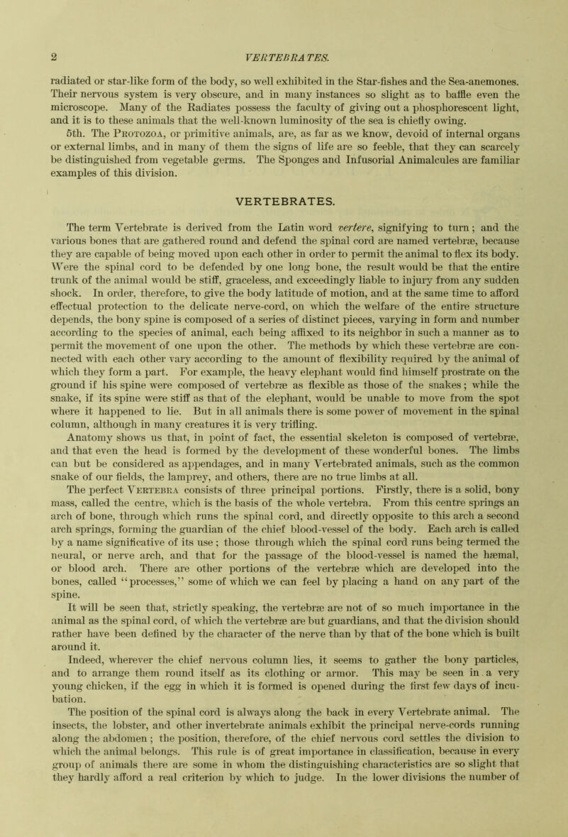 radiated or star-like form of the body, so well exhibited in the Star-fishes and the Sea-anemones. Their nervous system is very obscure, and in many instances so slight as to baffle even the microscope. Many of the Radiates possess the faculty of giving out a phosphorescent light, and it is to these animals that the well-known luminosity of the sea is chiefiy owing. 5th. The Pkotozoa, or primitive animals, are, as far as we know, devoid of internal organs or external limbs, and in many of them the signs of life are so feeble, that they can scarcely be distinguished from vegetable germs. The Sponges and Infusorial Animalcules are familiar examples of this division. VERTEBRATES. The term Vertebrate is derived from the Latin word veriersignifying to turn; and the various bones that are gathered round and defend the spinal cord are named vertebrae, because they are capable of being moved upon each other in order to permit the animal to Hex its body. Were the spinal cord to be defended by one long bone, the result would be that the entire trunk of the animal would be stiff, graceless, and exceedingly liable to injury from any sudden shock. In order, therefore, to give the body latitude of motion, and at the same time to afford effectual protection to the delicate nerve-cord, on which the welfare of the entire structure depends, the bony spine is composed of a series of distinct pieces, varying in form and number according to the species of animal, each being affixed to its neighbor in such a manner as to permit the movement of one upon the other. The methods by which these vertebrae are con- nected with each other vary according to the amount of flexibility required by the animal of which they form a part. For example, the heavy elephant would find himself prostrate on the ground if his spine were composed of vertebrge as flexible as those of the snakes; while the snake, if its spine were stiff as that of the elephant, would be unable to move from the spot where it happened to lie. But in all animals there is some pow er of movement in the spinal column, although in many creatures it is very trifling. Anatomy shows us that, in point of fact, the essential skeleton is composed of vertebrae, and that even the head is formed by the development of these wonderful bones. The limbs can but be considered as appendages, and in many Vertebrated animals, such as the common snake of our fields, the lamprey, and others, there are no true limbs at all. The perfect Veetebea consists of three principal portions. Firstly, there is a solid, bony mass, called the centre, which is the basis of the whole vertebra. From this centre springs an arch of bone, through w hich runs the spinal cord, and directly opposite to this arch a second arch springs, forming the guardian of the chief blood-vessel of the body. Each arch is called l)y a name significative of its use ; those through wdiich the spinal cord runs being termed the neural, or nerve arch, and that for the passage of the blood-vessel is named the hfemal, or blood arch. There are other portions of the vertebrae which are developed into the bones, called “processes,” some of which we can feel by placing a hand on any part of the spine. It will be seen that, strictly speaking, the vertebrae are not of so much importance in the animal as the spinal cord, of which the vertebrae are but guardians, and that the division should rather have been defined by the character of the nerve than by that of the bone which is built around it. Indeed, wherever the chief nervous column lies, it seems to gather the bony particles, and to arrange them round itself as its clothing or armor. This may be seen in a very young chicken, if the egg in which it is fonned is opened dining the first few days of incu- bation. The position of the spinal cord is always along the back in every Vertebrate animal. The insects, the lobster, and other invertebrate animals exhibit the principal nerve-cords running along the abdomen ; the ])Osition, therefore, of the chief nervous cord settles the division to wiiicli the animal belongs. This rule is of great importance in classification, because in every group of animals there are some in whom the distinguishing characteristics are so slight that they hardly afford a real criterion by which to judge. In the lower divisions the number of
