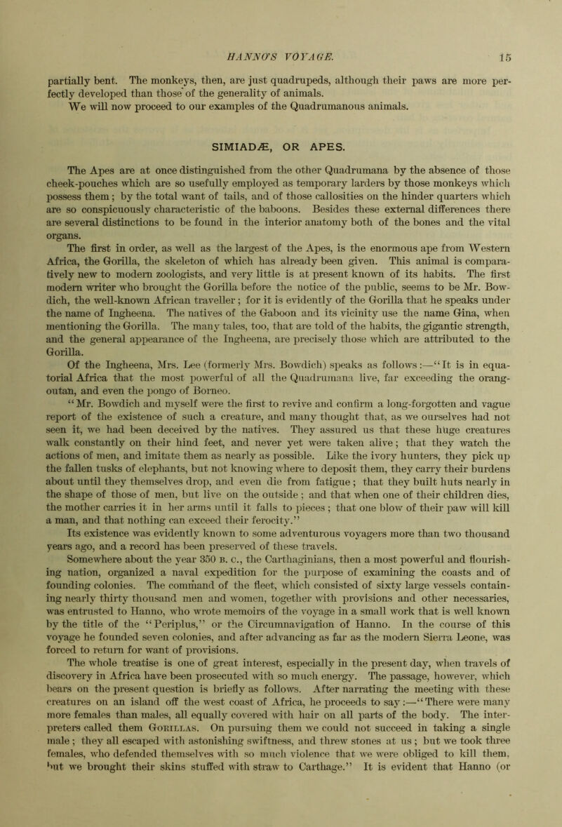 partially bent. The monkeys, then, are just quadrupeds, although their paws are more per- fectly developed than those' of the generality of animals. We will now proceed to our examples of the Quadrumanous animals. SIMIADiE, OR APES. The Apes are at once distinguished from the other Quadrumana by the absence of those cheek-pouches which are so usefully employed as temporary larders by those monkeys which possess them; by the total want of tails, and of those callosities on the hinder quarters which are so conspicuously characteristic of the baboons. Besides these external differences there are several distinctions to be found in the interior anatomy both of the bones and the vital organs. The first in order, as well as the largest of the Apes, is the enormous aj>e from Western Africa, the Gorilla, the skeleton of which has already been given. This animal is compara- tively new to modem zoologists, and very little is at present known of its habits. The first modem writer who brought the Gorilla before the notice of the public, seems to be Mr. Bow- dich, the well-known African traveller ; for it is evidently of the Gorilla that he speaks under the name of Ingheena. The natives of the Gaboon and its vicinity use the name Gina, when mentioning the Gorilla. Tlie many tales, too, that are told of the habits, the gigantic strength, and the general appearance of the Ingheena, are precisely those wliich are attributed to the Gorilla. Of the Ingheena, Mrs. Lee (formerly Mrs. Bowdich) speaks as follows:—“It is in equa- torial Africa that the most powerful of all tlie Quadrumana live, far exceeding the orang- outan, and even the pongo of Borneo. “Mr. Bowdich and myself were the first to revive and confirm a long-forgotten and vague report of the existence of such a creature, and many thought that, as we ourselves had not seen it, we had been deceived by the natives. They assured us that these huge creatures walk constantly on their hind feet, and never yet were taken alive; that they watch the actions of men, and imitate them as nearly as possible. Like the ivory hunters, they pick up the fallen tusks of elephants, but not Imowing where to deposit them, they carry their burdens about until they themselves drop, and even die from fatigue ; that they built huts nearly in the shape of those of men, but live on the outside ; and that when one of their children dies, the mother carries it in her arms until it falls to pieces ; that one blow of their paw will kill a man, and that nothing can exceed their ferocity.” Its existence was evidently known to some adventurous voyagers more than two thousand years ago, and a record has been preserved of these travels. Somewhere about the year 350 b. c., the Carthaginians, then a most powerful and flourish- ing nation, organized a naval expedition for the purpose of examining the coasts and of founding colonies. The command of the fleet, which consisted of sixty large vessels contain- ing nearly thirty thousand men and women, together with provisions and other necessaries, was entrusted to Hanno, who wrote memoirs of the voyage in a small work that is well known by the title of the “Periplus,” or the Circumnavigation of Hanno. In the course of this voyage he founded seven colonies, and after advancing as far as the modern Sierra Leone, was forced to return for want of provisions. The whole treatise is one of great interest, especially in the present day, when travels of discovery in Africa have been prosecuted with so much energy. The passage, however, which bears on the present question is briefly as follows. After narrating the meeting with these creatures on an island off the west coast of Africa, he proceeds to say:—“There were many more females than males, all equally covered with hair on all parts of the body. The inter- preters called them Gorillas. On pursuing them Ave could not succeed in taking a single male ; they all escaped with astonislung swiftness, and threw stones at us ; but we took three females, who defended themselves with so miicli violence that Ave Avere obliged to kill them, but we brought their skins stuffed AAith straAv to Carthage.” It is evident that Hanno (or