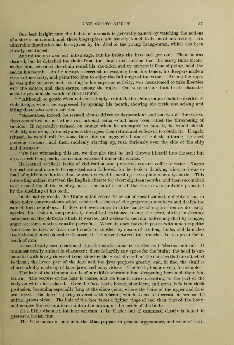 Our best insight into the habits of animals is generally gained by watching the actions of a single individual, and these biographies are usually found to be most interesting. An admirable description has been given by Dr. Abel of the young Orang-outan, which has been already mentioned. At first the ape was put into a cage, but he broke the bars and got out. Then he was chained, but he detached the chain from the staple, and finding that the heavy links incom- moded him, he coiled the chain round his shoulder, and to prevent it from slipping, held the end in his mouth. As he always succeeded in escaping from his bonds, his keepers made a virtue of necessity, and permitted him to enjoy the full range of the vessel. Among the ropes he was quite at home, and, trusting to his superior activity, was accustomed to take liberties with the sailors, and then escape among the ropes. One very curious trait in his character must be given in the words of the narrator. • “Although so gentle when not exceedingly irritated, the Orang-outan could be excited to violent rage, which he expressed by opening his mouth, showing his teeth, and seizing and biting those who were near him. “ Sometimes, indeed, he seemed almost driven to desperation ; and on two dr three occa- sions committed an act which in a rational being would have been called the threatening of suicide. If repeatedly refused an orange when he attempted to take it, he would shriek violently and svdng furiously about the ropes, then return and endeavor to obtain it. If again refused, he would roll for some time like an angry child upon the deck, uttering the most piercing screams; and then, suddenly starting up, rush furiously over the side of the ship and disappear. “On first witnessing this act, we thought that he had thiown himself into the sea; but on a search being made, found him concealed under the chains.” He learned artificial tastes of civilization, and preferred tea and coffee to water. Tastes less natural and more to be regretted soon followed, for he took to drinking wine, and was so fond of spirituous liquids, that he was detected in stealing the captain’s brandy-bottle. This interesting animal survived the English climate for about eighteen months, and then succumbed to the usual foe of the monkey race. The fatal issue of the disease was probably promoted by the shedding of his teeth. In its native woods, the Orang-outan seems to be an unsocial animal, delighting not in those noisy conversaziones which rejoice the hearts of the gregarious monkeys and deafen the ears of their neighbors. It does not even unite in little bands of eight or ten as do many species, but leads a comparatively eremitical existence among the trees, sitting in dreamy indolence on the platform which it weaves, and averse to moving unless impelled by hunger, anger, or some motive equally powerful. When it does move, it passes with much rapidity from tree to tree, or from one branch to another by means of its long limbs, and launches itself through a considerable distance, if the space between the branches be too great for its reach of arm. It has already been mentioned that the adult Orang is a sullen and ferocious animal. It is almost totally animal in chamcter ; there is hardly any space for the brain ; the head is sur- mounted with heavy ridges of bone, showing the great strength of the muscles that are attached to them; the lower part of the face and the jaws projects greatly, and, in fine, the skull is almost wholly made up of face, jaws, and bony ridges. Tlie teeth, too, are very formidable. The hair of the Orang-outan is of a reddish chestnut hue, deepening here and there into brown. The texture of the hair is coarse, and its length varies according to the part of the body on which it is placed. Over the face, back, breast, shoulders, and arms, it falls in thick profusion, becoming especially long at the elbow-joint, where the hairs of the upper and fore- aim meet. The face is partly covered with a beard, which seems to increase in size as the animal grows older. The hair of the face takes a lighter tinge of red than that of the body, and merges the red or auburn tint in the brown, on the inside of the limbs. At a little distance, the face appears to be black; but if examined closely is found to present a bluish tint. The Mias-kassar is similar to the Mias-pappan in general appearance, and color of hair;