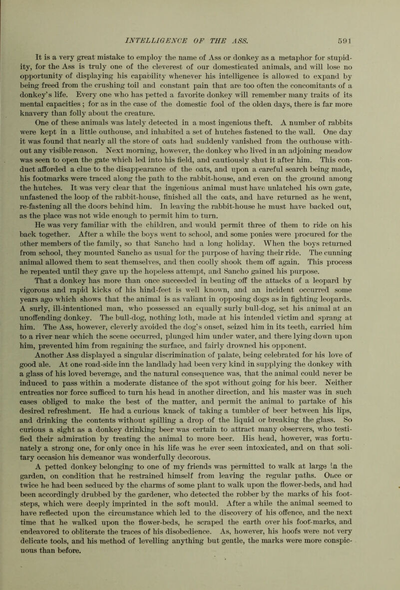 It is a very great mistake to employ tlie name of Ass or donkey as a metaphor for stupid- ity, for the Ass is truly one of the cleverest of our domesticated animals, and will lose no opportunity of displaying his capability whenever his intelligence is allowed to expand by being freed from the crushing toil and constant pain that are too often the concomitants of a donkey’s life. Every one who lias petted a favorite donkey will remember many traits of its mental capacities ; for as in the case of the domestic fool of the olden days, there is far more knavery than folly about the creature. One of these animals was lately detected in a most ingenious theft. A number of rabbits were kept in a little outhouse, and inhabited a set of hutches fastened to the wall. One day it was found that nearly all the store of oats had suddenly vanished from the outhouse with- out any visible reason. Next morning, however, the donkey who lived in an adjoining meadow was seen to open the gate which led into his field, and cautiously shut it after him. This con- duct afforded a clue to the disappearance of the oats, and upon a careful search being made, his footmarks were traced along the path to the rabbit-house, and even on the ground among the hutches. It was very clear that the ingenious animal must have unlatched his own gate, unfastened the loop of the rabbit-house, finished all the oats, and have returned as he went, re-fastening all the doors behind him. In leaving the rabbit-house he must have backed out, as the place was not wide enough to permit him to turn. He was very familiar with the children, and would permit three of them to ride on his back together. After a while the boys went to school, and some ponies were procured for the other members of the family, so that Sancho had a long holiday. When the boys returned from school, they mounted Sancho as usual for the purpose of having their ride. The cunning animal allowed them to seat themselves, and then coolly shook them off again. This process he repeated until they gave up the hopeless attempt, and Sancho gained his purpose. That a donkey has more than once succeeded in beating off the attacks of a leopard by vigorous and rapid kicks of his hind-feet is well known, and an incident occurred some years ago which shows that the animal is as valiant in opposing dogs as in fighting leopards. A surly, ill-intentioned man, who possessed an equally surly bull-dog, set his animal at an unoffending donkey. The bull-dog, nothing loth, made at his intended victim and sprang at him. The Ass, however, cleverly avoided the dog’s onset, seized him in its teeth, carried him to a river near which the scene occurred, plunged him under water, and there lying down upon him, prevented him from regaining the surface, and fairly drowned his opponent. Another Ass displayed a singular discrimination of palate, being celebrated for his love of good ale. At one road-side inn the landlady had been very kind in supplying the donkey with a glass of his loved beverage, and the natural consequence was, that the animal could never be induced to pass within a moderate distance of the spot without going for his beer. Neither entreaties nor force sufficed to turn his head in another direction, and his master was in such cases obliged to make the best of the matter, and permit the animal to partake of his desired refreshment. He had a curious knack of taking a tumbler of beer between his lips, and drinking the contents without spilling a drop of the liquid or breaking the glass. So curious a sight as a donkey drinking beer w^as certain to attract many observers, who testi- fied their admiration by treating the animal to more beer. His head, however, was fortu- nately a strong one, for only once in his life was he ever seen intoxicated, and on that soli- tary occasion his demeanor was wonderfully decorous. A petted donkey belonging to one of my friends was permitted to wall?: at large In the garden, on condition that he restrained himself from leaving the regular paths. Once or twice he had been seduced by the charms of some plant to walk upon the flower-beds, and had been accordingly drubbed by the gardener, who detected the robber by the marks of his foot- steps, which were deeply imprinted in the soft mould. After a while the animal seemed to have reflected upon the circumstance which led to the discovery of his offence, and the next time that he walked upon the flower-beds, he scraped the earth over his foot-marks, and endeavored to obliterate the traces of his disobedience. As, however, his hoofs were not very delicate tools, and his method of levelling anything but gentle, the marks were more conspic- uous than before.