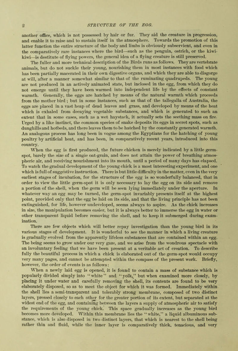 another office, which is not possessed by hair or fur. They aid the creature in progression, and enable it to raise and to sustain itself in the atmosphere. Towards the promotion of this latter function the entire structure of the body and limbs is obviously subservient, and even in the compai-atively rare instances where the bird—such as the penguin, ostrich, or the kiwi- kiwi—is destitute of Hying powers, the general idea of a flying creature is still preserved. The fuller and more technical description of the Birds runs as follows. They are vertebrate animals, but do not suckle their young, nourishing them in most instances with food which lias been partially macerated in their owm digestive organs, and which they are able to disgorge at will, after a manner somewhat similar to that of the ruminating quadrupeds. The young are not produced in an actively animated state, but inclosed in the egg, from which they do not emerge until they have been warmed into independent life by the effects of constant warmth. Generally, the eggs are hatched by means of the natural warmth which proceeds from the mother bird ; but in some instances, such as that of the tallegalla of Australia, the eggs are placed in a vast heap of dead leaves and grass, and developed by means of the heat which is exhaled from decaying vegetable substances, and which is generated to such an extent that in some cases, such as a wet haystack, it actually sets the seething mass on tire. Urged by a like instinct, the common species of snake deposits its eggs in secret spots, sucli as dunghills and hotbeds, and there leaves them to be hatched by the constantly generated warmth. An analogous process has long been in vogue among the Egyptians for the hatching of young poultry by artificial heat, and has been, in comparatively recent years, introduced into tliis country. When the egg is first produced, the future chicken is merely indicated by a little germ- spot, barely the size of a single oat-grain, and does not attain the power of breathing atmos- pheric air, and receiving nourishment into its mouth, until a period of many days has elapsed. To watch the gradual development of the young chick is a most interesting experiment, and one which is full of suggestive instruction. There is but little difficulty in the matter, even in the very earliest stages of incubation, for the structure of the egg is so wonderfully balanced, that in order to view the little germ-spot it is only necessary to lay the egg on its side and remove a portion of the shell, when the germ will be seen lying immediately under the aperture. In whatever way an egg may be turned, the germ-spot invariably presents itself at the highest point, provided only that the egg be laid on its side, and that the living principle has not been extinguished, for life, however undeveloped, seems always to aspire. As the chick increases in size, the manipulation becomes easier, but it is always better to immerse the egg in water or other transparent liquid before removing the shell, and to keep it submerged during exam- ination. There are few objects which will better repay investigation than the young bird in its various stages of development. It is wonderful to see the manner in which a living creature is gradually evolved from the apparently lifeless substances that are contained within an egg. The being seems to grow under our very gaze, and we arise from the wondrous spectacle with an involuntary feeling that we have been present at a veritable act of creation. To describe fully the beautiful process in which a chick is elaborated out of the germ-spot would occupy very many pages, and cannot be attempted within the compass of the present work. Briefly, however, the order of events is as follows: When a newly laid egg is opened, it is found to contain a mass of substance which is popularly divided simply into “white” and “yolk,” but when examined more closely, by placing it under water and carefully removing the shell, its contents are found to be very elaborately disposed, so as to meet the object for which it was formed. Immediately within the shell lies a semi-transparent and tolerably strong membrane, composed of two distinct layers, pressed closely to each other for the greater portion of its extent, but separated at the widest end of the egg, and containing between the layers a supply of atmospheric air to satisfy the requirements of the young chick. This space gradually increases as the young bird becomes more developed. Within this membrane lies the “white,” a liquid albuminous sub- stance, which is also disposed in two distinct layers, that which is nearest to the shell being rather thin and fluid, while the inner layer is comparatively thick, tenacious, and very