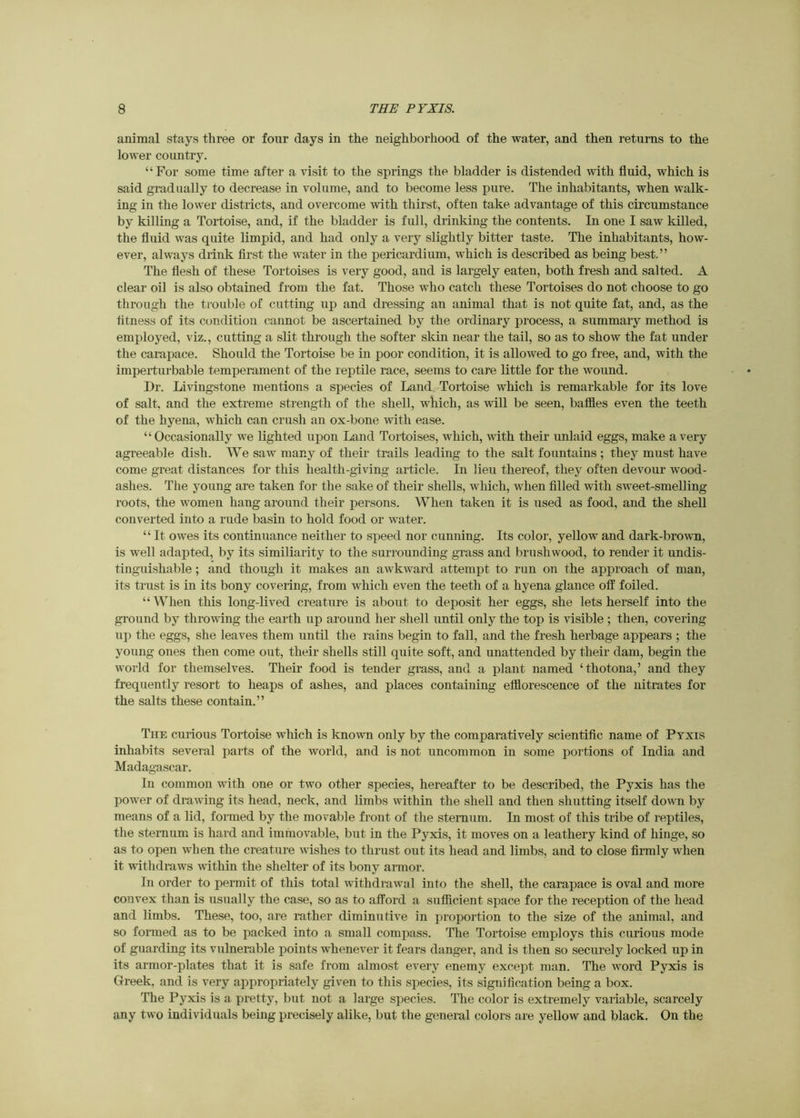 animal stays three or four days in the neighborhood of the water, and then returns to the lower country. “For some time after a visit to the springs the bladder is distended with fluid, which is said gradually to decrease in volume, and to become less pure. The inhabitants, when walk- ing in the lower districts, and overcome with thirst, often take advantage of this circumstance by killing a Tortoise, and, if the bladder is full, drinking the contents. In one I saw killed, the fluid was quite limpid, and had only a very slightly bitter taste. The inhabitants, how- ever, always drink first the water in the pericardium, which is described as being best.” The flesh of these Tortoises is very good, and is largely eaten, both fresh and salted. A clear oil is also obtained from the fat. Those who catch these Tortoises do not choose to go through the trouble of cutting up and dressing an animal that is not quite fat, and, as the fitness of its condition cannot be ascertained by the ordinary process, a summary method is employed, viz., cutting a slit through the softer skin near the tail, so as to show the fat under the carapace. Should the Tortoise be in poor condition, it is allowed to go free, and, with the imperturbable temperament of the reptile race, seems to care little for the wound. Dr. Livingstone mentions a species of Land Tortoise which is remarkable for its love of salt, and the extreme strength of the shell, which, as will be seen, baffles even the teeth of the hyena, which can crush an ox-bone with ease. “Occasionally we lighted upon Land Tortoises, which, with their unlaid eggs, make a very agreeable dish. We saw many of their trails leading to the salt fountains ; they must have come great distances for this health-giving article. In lieu thereof, they often devour wood- ashes. The young are taken for the sake of their shells, which, when filled with sweet-smelling roots, the women hang around their persons. When taken it is used as food, and the shell converted into a rude basin to hold food or water. “ It owes its continuance neither to speed nor cunning. Its color, yellow and dark-brown, is well adapted, by its similiarity to the surrounding grass and brushwood, to render it undis- tinguishable; and though it makes an awkward attempt to run on the approach of man, its trust is in its bony covering, from which even the teeth of a hyena glance off foiled. “ When this long-lived creature is about to deposit her eggs, she lets herself into the ground by throwing the earth up around her shell until only the top is visible ; then, covering lip the eggs, she leaves them until the rains begin to fall, and the fresh herbage appears ; the young ones then come out, their shells still quite soft, and unattended by their dam, begin the world for themselves. Their food is tender grass, and a plant named ‘thotona,’ and they frequently resort to heaps of ashes, and places containing efflorescence of the nitrates for the salts these contain.” The curious Tortoise which is known only by the comparatively scientific name of Pyxis inhabits several parts of the world, and is not uncommon in some portions of India and Madagascar. In common with one or two other species, hereafter to be described, the Pyxis has the poAver of drawing its head, neck, and limbs within the shell and then shutting itself down by means of a lid, formed by the movable front of the sternum. In most of this tribe of reptiles, the sternum is hard and immovable, but in the Pyxis, it moves on a leathery kind of hinge, so as to open when the creature wishes to thrust out its head and limbs, and to close firmly when it withdraws within the shelter of its bony armor. In order to permit of this total withdrawal into the shell, the carapace is oval and more convex than is usually the case, so as to afford a sufficient space for the reception of the head and limbs. These, too, are rather diminutive in proportion to the size of the animal, and so formed as to be packed into a small compass. The Tortoise employs this curious mode of guarding its vulnerable points whenever it fears danger, and is then so securely locked up in its armor-plates that it is safe from almost every enemy except man. The word Pyxis is Greek, and is very appropriately given to this species, its signification being a box. The Pyxis is a pretty, but not a large species. The color is extremely variable, scarcely any two individuals being precisely alike, but the geneiul colors are yellow and black. On the