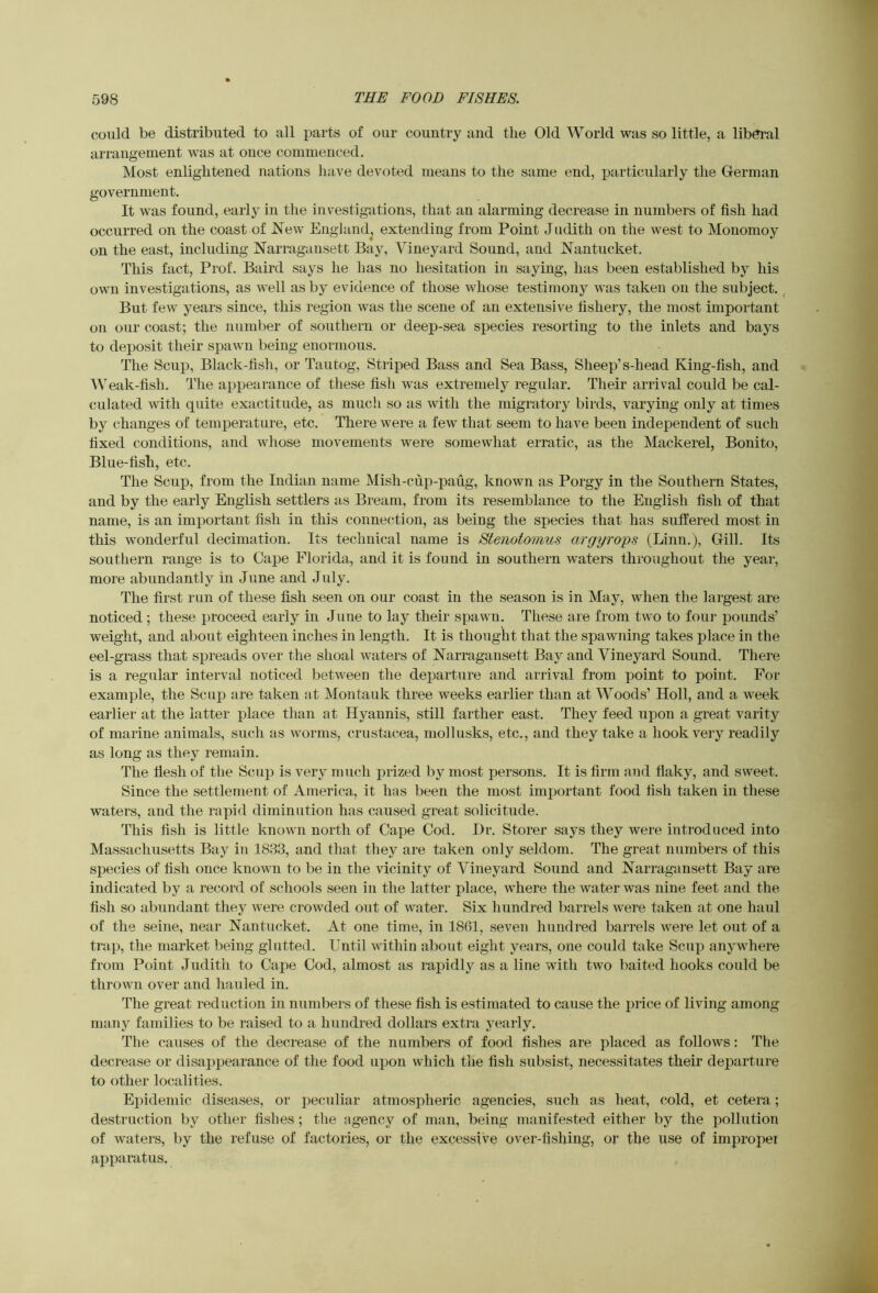 coiild be distributed to all parts of our country and the Old World was so little, a liberal arrangement was at ouce commenced. Most enlightened nations have devoted means to the same end, particularly the German government. It was found, early in the investigations, that an alarming decrease in numbers of fish had occurred on the coast of New England^ extending from Point Judith on the west to Monomoy on the east, including Narragansett Bay, Vineyard Sound, and Nantucket. This fact. Prof. Baird says he has no hesitation in saying, has been established by his own investigations, as well as by evidence of those whose testimony was taken on the subject. . But few years since, this region was the scene of an extensive fishery, the most important on our coast; the number of southeru or deep-sea species resorting to the inlets and bays to deposit their sjDawn being enormous. The Scup, Black-fish, or Tautog, Striped Bass and Sea Bass, Sheep’s-head King-fish, and AVeak-fish. The appearance of these fish was extremely regular. Their arrival could be cal- culated with quite exactitude, as much so as with the migratory birds, varying only at times by changes of temperature, etc. There were a few that seem to have been independent of such fixed conditions, and whose movements were somewhat erratic, as the Mackerel, Bonito, Blue-fish, etc. The Scup, from the Indian name Mish-cup-patig, known as Porgy in the Southern States, and by the early English settlers as Bream, from its resemblance to the English fish of that name, is an important fish in this connection, as being the species that has suffered most in this wonderful decimation. Its technical name is Stenotomus argyrops (Linn.), Gill. Its southern range is to Cape Florida, and it is found in southern waters throughout the year, more abundantly in June and July. The first run of these fish seen on our coast in the season is in May, when the largest are noticed ; these proceed early in June to lay their spawn. These are from two to four pounds’ weight, and about eighteen inches in length. It is thought that the spawning takes place in the eel-grass that sjjreads over the shoal waters of Narragansett Bay and Vineyard Sound. There is a regular interval noticed between the departure and arrival from point to point. For example, the Scup are taken at Montauk three weeks earlier than at AA’’oods’ Holl, and a week earlier at the latter place than at Hyannis, still farther east. They feed upon a great varity of marine animals, such as worms, Crustacea, mollusks, etc., and they take a hook very readily as long as they remain. The flesh of the Scup is very much prized by most persons. It is firm and flaky, and sweet. Since the settlement of America, it has been the most important food fish taken in these waters, and the rapid diminution has caused great solicitude. This fish is little known north of Cape Cod. Dr. Storer says they were introduced into Massachusetts Bay in 1833, and that they are taken only seldom. The great numbers of this species of fish once known to be in the vicinity of Vineyard Sound and Narragansett Bay are indicated by a record of schools seen in the latter jdace, where the water was nine feet and the fish so abundant they were crowded out of water. Six hundred barrels were taken at one haul of the seine, near Nantucket. At one time, in 1861, seven hundred barrels were let out of a trap, the market being glutted. Until within about eight years, one could take Scup anywhere from Point Judith to Cape Cod, almost as rapidly as a line with two baited hooks could be thrown over and hauled in. The great reduction in numbers of these fish is estimated to cause the price of living among many families to be raised to a hundred dollars extra yearly. The causes of the decrease of the numbers of food fishes are placed as follows: The decrease or disappearance of the food upon which the fish subsist, necessitates their departure to other localities. Epidemic diseases, or peculiar atmospheric agencies, such as heat, cold, et cetera; destruction by other fishes; tlie agency of man, being manifested either by the pollution of waters, by the refuse of factories, or the excessive over-fishing, or the use of impropei apparatus.