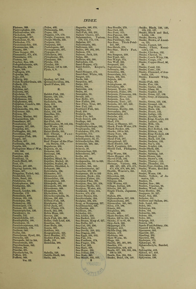 Platessa, 266. Platycephalus, 235. Platyoniculus, 450. Plectodera, 386. Plectognathi, 287. Plestiodons, 61, 62. Plethodon, 172. Pleurobranchia, 559. Pleuronectes, 266. Plonsea, 358. Plum Gouger, 385. Plumatella, 371, 476. Plumularia, 578. Pluteus, 548. Poacher, Sea, 236. Podophthalmata, 438. Poecilopoda, 485. Pogge, 236. Pognagen, 278. Pogonias, 241. Pogy, 278. Poiewig, 252. Polish Scarlet Grain, 430. Pollack, 270. Pollux, 413. Polybius, 447. Polycera, 340. Polychrus, 77. Polycystina, 584. Polydesmus, 525. Polyphemus, 482. Polyprion, Couch’s, 220. Polypus, 306. Polystomella, 584, 594. Polyxenus, 525. Polyzoa, 361. Polyzoa, Marine, 362, Pomacanthus, 228. Pomadasys, 227. Pomatomus, 247. Pompano, 247, 250. Pompilus, 401. Porbeagles, 201, 203. Porcellana, 462. Porcupine-Fish, 289. Porgee, 227. Ponfera, 587. Poriferata, 591, 593. Porpita, 559. Portuguese Man-o’-War, 559, 560. Portunus, 446. Poseidon, 406. Postilions, 72. Pouch-Shell, 337. Pout, 270. Prawns, 467, 468. Praying Insects, 392. Priam, 407. Priapulus, Tailed, 542. Prickletish, 213. Pride, Sand, 295. Pristidurus, 195. Pristiophorus, 206. Pristipoma, 225. Pristis, 206. Proach, Lucky, 235. Proteidae, 179. Protesilaus, 408. Proteus, 185, 186. Protolepas, 492. Protomyxa, 593. Protonopsis, 179. Protoza, 591, 593. Psammophylax, 126. Pseudemys, 14. Pseudis, 152. Pseudobdella, 537. Pseudophidia, 180. Pseudopus, 52. Pseudoscorpiones, 512. Pseudotriton, 176. Psolinus, 543. Psolus, 542. Pterochroza, Eyed, 391. Pteraclis, 249. Ptcropods, 242 to 244. Pteroscerods, 330. Pterotracheas, 342. Ptilinus, 381. Ptinidae, 381. Ptyodactylus, 72. Puffers, 289. Pufflets, 569. VoL. in. Pulex, 432. Pulmonata, 338. Pupas, 338. Puppies, 178, 179. Purple, Common, 318. Purple-Shells, 330. Purpura, 318. Purpuras, 330. Pustulopora, 367. Pycnogonum, 487. Pygopus, 57. Pyrochroa, 382. Pyrophorus, 381. Pyrosoma, 359. Pyrula, 316. Pyrulas, 330. Pythons, 118 to 120. Pyxis, 8, 9. Q. Quahog, 347, 353. Quinqueloculina, 584. Quoit-Fishes, 253. R. Rabbit-Fish, 193. Racers, 130, 131. Radiata, 541. Radiolaria, 594. Raia, 212. Raidae, 206. Raja, 207, 209. Rana, 154, 158. Ranellas, 331. Ranina, 457. Rataria, 559. Rat-Fish, 193. Rattlesnakes, 99,103,104. Ray-Worm, 539. Rays, 206 to 212. Razor-Shells, 355. Red - Throat, F o u r - Streaked, 225. Reduvius, 431. Reef Proper of the Flor- ida Straits, 578. Regalecus, 258. Regenia, 40, 41. Remoras, 248. Reniceps, 196. Reptiles, 3. Reptiles, Blind, 70. Reptiles, Mailed, 28. Reptiles, Scaled, 40. Reptiles, Shielded, 5. Retepora, 366. Reticularia, 594. Rhinaster, 617. Rhinoceros, 517. Rhinochilus, 136. Rhinophryne, 169. Rhizopoda, 583. Rhizopods, 585, 593 Rhizostoraa, 566. Rhopalera, 405. Rhynchites, 383. Rhynchocephalia, 78. Rhyssa, 398, 400. Ribbon-Fish, 258. Ripiphorus, 382. River Jack, 107. River Pirate, 279. Roach, 242, 286. Robin Huss, 193. Roccus, 220. Rock-Fish, 251, 268. Roller, Oak-Leaf, 426. Rosalina, 584. Rose-Buds, 330. Russia, 308. Rotifera, 581. Rougegueule, 225. Rove-Beetles, 377. Rudder-Fish, 249. Ruffe, 219. Rutelidse, 380. S. Sabella, 528. Saddle-Shell, 346. Sadis, 240, Sagartia, 568, 570. Sagittas, 342. Sail-Fish, 202, 251. Sailors’ Choice, 227. Salamanders, Various, 170, 172, 175, 176. Salarias, 257. Salicornaria, 362. Sallyman, 559. Salrao, 280, 282, 283. Salmon, 279. Salmon, Jack, 219. Salpa, 360. Salticus, 452, 600. Salvadora, 135. Sand-Hopper, 472. Sand-Screw, Kroyer’s, 473. Sand-Skipper, 472. Sand-Star, White, 552. Sanger, 219. Sarda, 246. Sarpedon, 407. Sarpo, 255. Sarsia, 564. Satyridse, 414. Saura, 40. Saurophis, 52. Savala, 243. Saw-Belly, 277. Saw-Fishes, 206. Saw-Flies, True, 397. Saw-Tail, 195. Scabbard-Fish, 243. Scad, 250. Scalaria, 304. Scale-Fin, 243. Scale-Insect, 429. Scallops, 348. Scaphiopus, 154. Scaphiorhynchops, 192. Scaphopoda, 332. Scarabmus, 378, 379. Scaritidm, 375. Schaap-Sticker, 125. Scheltopusic, 52, 67. Schizodactylus, 390. Sciaenidse, 240, 241. Sciara, 434. Scincus, 69. Sclerarachne, 610. Sclerodermi, 287. Scolia, 401. Scoliodon, 196. Scolopendra, 521 to 523. Scolytus, 384. Scomber, 244, 245. Scomberomorus, 247 Scopelus, 282, 283. Scorpmnas, 231 to 233 Scorpion, Book-, 614. Scorpion-Fishes, 231. Scorpion-Flies, 395. Scorpion, Sea, 231, 234. Scorpion-Shells, 313. Scorpion, Water, 431. Scorpions, True, 514. Screws, 475, 476. Screw-Stones, 554. Scrobicularia, 354. Sculpins, 234, 252. Scup, or Scuppung, 227. Scutibranchia, 328. Scyllaridae, 463. Scyllium, 195. Scytodes, 611. Sea-Adder, 216. Sea-Basket, 553. Sea-Bream, King of, 227. Sea-Bulbs, 557. Sea-Cat, 193, 266. Sea-Dace, 218. Sea-Devils, 210, 212. Sea-Dragon; 290. Sea-Eggs, 644, 552. Sea-Fan, 574. Sea-Feathers, 574. Sea-Finger, 576. Sea-Fox, 202. Sea-Hare, 338. Sea-Horse, 290. Sea-Jellies, 559. Sea-Mats, 365. Sea-Mouse, 632, 633, B Sea-Needle, 279. Sea-Owl, 253. Sea-Pens, 575. Sea-Pigeons, 338. Sea-Pink, 668, 569. Sea-Puddings, 542. Sea-Rose, Thick-Petal- led, 668. Sea-Shrub, 575. Sea-Star, Bird’s Foot, 651. Sea Surgeon, 259. Sea-Toad, 441. Sea-Whips, 574. Sea Wolt, 256. Seepaard, 233. Segestrium, 611. Selenaria, 366. Semotilus, 294. Senoculata, 511. Sepia, 306, 310. Sepiola, 308. Seps, 68. Septoglossse, 40. Serialaria, 368. Serpent, Water, 124. Serpents, False, 180. Serpents, Poisonous, 104. Serpents, River, 115. Serpents, Sea, 115. Serpents, Tree-, 137. Serpula, 367, 527, 628. Serranses, 220. Serranus, Ruddy, 220. Serrosalmo, 284. Sertulariadae, 577. Sesiadae, 419. Setigera, 527. Shad, 276. Shan, or Shanny, 257. Shark, Fresh-Water, 279. Shark-Sucker, 486. Sharks, 193 to 205. Sharp-Nose, 196. Sharplin, 213. Sheat-Fish, 287. Sheepshead, 227. Shell-Binder, 529. Shell, Fountain, 313. Shield-Tail, Philippine, 71. Ship-Worm, 356. Shore-Hopper 473. Shovel-Fish, 192. Shovel-Head, 196. Shrimps, Various, 464, 466, 467, 469, 470, 471, 475, 476, 478, 480, 481. Shuttle, Weaver’s, 324. Sida, 482. Silicoidea, 593. Siliquaria, 326. Siliquas, 354. Silk-Worms, 422. Sillago, Indian, 239. Silurus, 286, 287. Single-Thorn, Japanese, 216. Siphon, 480. Siphonophora, 557, 559. Siphonostoma, 486. Sipunculus, 541, 542. Siren, 179, 186. Sitaris, 383. Sitophilus, 385. Sivado, 469. Skate-Sucker, 537. Skates, 208 to 210, 212. Skinks, 57 to 61, 69. Skip-Jack, 246. Skippaugs, 278. Skippers, 415. Skittle-Dog, 195. Slaters, 479. Slobbers, 564. Slow-Worm, 63. Slugs, 335. Smelts, 261, 281, 282. Smeltie, 270. Smerinthus, 416, 419. Snails, 327, 330, 333, 334, 336 to 338. Snails, Sea, 254, 324. Snake, Bead, 134,148, Snake, Black, 126, 130, 133, 135, 137. Snake, Black and Red, Little, 136. Snake, Brown, 136. Snake, Brown, of Ameri- ca, 125. Snake, Carpet, 118. Snake, Chain, Kenni- cott’s, 133. Snake, Chicken, 132. Snake, Clawed, 70. Snake, Coach-Whip, 134. Snake, Congo, 179. Snake, Copper-Head, 98, 99. Snake, Coral, 125. Snake, Corn-, 130. Snake, Diamond, of Aus- tralia, 118. Snake, Emerald Whip, 136. Snake-Fish, 263. Snake, Fox, 130. Snake, Garter, 134. Snake, Glass, 53. Snake, Gopher, 133. Snake, Grass, 127, 136. Snake, Gray, of Jamaica, 137. Snake, Green, 135, 136. Snake, Ground, 136. Snake, Hog-Nose, 129. Snake, Horn, 136. Snake, House, 132. Snake, Indigo, 133. Snake, Javelin, 69. Snake, King, Scarlet, 131 Snake, Labarri, 149. Snake, Milk, 132. Snake, Pine, 130. Snake, Red-Bellied, 136. Snake, Ribbon, 134. Snake, Ring-Necked, 136 Snake, Ringed, 127. Snake, Rock, 119,120. Snake, Sachem, 132. Snake, Say’s, 132. Snake, Scarlet, 136. Snake-Shell, 326. Snake, Silver, 70. Snake, Spitting, 148. Snake-Stones, 146. Snake, Storer’s, 136. Snake, Thorny-, 115. Snake, Thunder, 131. Snake,Tree-,Golden, 139. Snake, Water, Red-Bel- lied, 134. Snake, Worm, 136. Snake, Yellow, of Ja- maica, 125. Snakes, 93. Snakes, Sea-, 360. Snakes, Viperine, 95. Snakes, Wood-, 139. Snap-Beetles, 381. Snappers, 20, 227. Snipe, Sea, 263. Solaster, 551. Soldiers and Sailors, 381. Sole, Land, 335. Solea, 265. Solemyas, 354. Solen, 354. Solenette, 265. Solens, 354. Soles, 265. Solpuga, 513. Sonora, 136. Spade-Foot,Solitary, 154. Spanish Flies, 382. Sparassus, 503. Sparidae, 227. Sparling, 282. Spectres, 392. Spelerpes, 172. Sphsenops, 69. Sphaerouactyle, Banded, 74. Sphingidae, 416. Sphinx, 417, 418. Sphyraena 242. Sphyruias, 199,