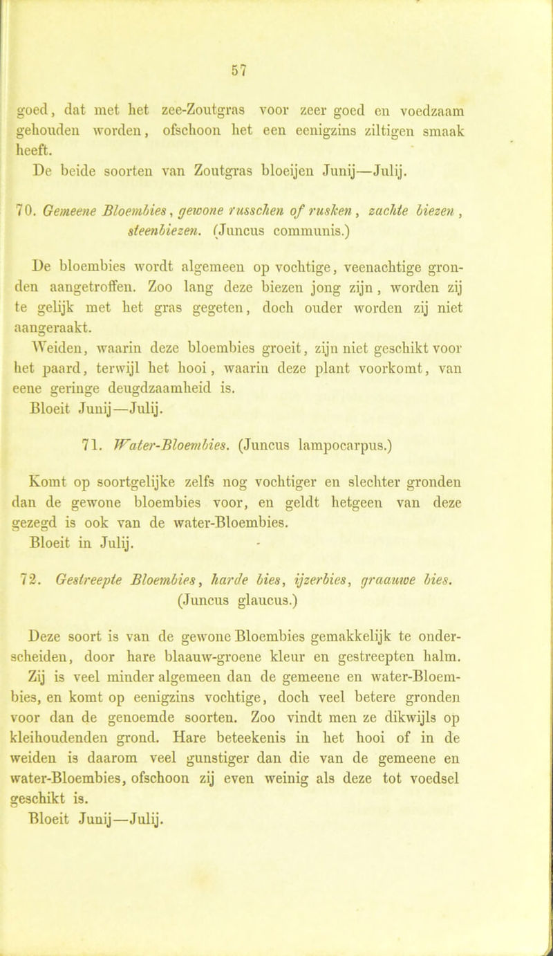 goed, dat met het zee-Zoutgras voor zeer goed en voedzaam gehouden worden, ofschoon het een eenigzins ziltigen smaak heeft. De beide soorten van Zoutgras bloeijen Junij—Julij. 7 0. Gemeene Bloembies, gewone russchen of rushen, zachte biezen , steenbiezen. (Juncus communis.) De bloembies wordt algemeen op vochtige, veenachtige gron- den aangetrolfen. Zoo lang deze biezen jong zijn , worden zij te gelijk met het gras gegeten, doch ouder worden zij niet aangeraakt. Weiden, waarin deze bloembies groeit, zijn niet geschikt voor het paard, terwijl het hooi, waarin deze plant voorkomt, van eene geringe deugdzaamheid is. Bloeit Junij—Julij. 71. Water-Bloembies. (Juncus lampocarpus.) Komt op soortgelijke zelfs nog vochtiger en slechter gronden dan de gewone bloembies voor, en geldt hetgeen van deze gezegd is ook van de water-Bloembies. Bloeit in Julij. 72. Gestreepte Bloembies, harde bies, ijzer bies, graauwe bies. (Juncus glaucus.) Deze soort is van de gewone Bloembies gemakkelijk te onder- scheiden, door hare blaauw-groene kleur en gestreepten halm. Zij is veel minder algemeen dan de gemeene en water-Bloem- bies, en komt op eenigzins vochtige, doch veel betere gronden voor dan de genoemde soorten. Zoo vindt men ze dikwijls op kleihoudenden grond. Hare beteekenis in het hooi of in de weiden is daarom veel gunstiger dan die van de gemeene en water-Bloembies, ofschoon zij even weinig als deze tot voedsel geschikt is. Bloeit Junij—Julij.