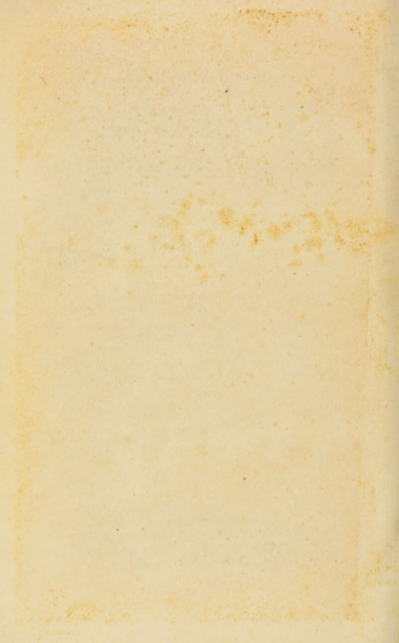 ^ .Vf*^ if; ' ••. ■-1 - . - ... * * ... .(. * - .* %ii;‘ - ih'^ s . ’*^ :^r:m:m.%: V ■ << :„ •■ • • -« j ‘ ■ v|r ’ .'i l t V* •