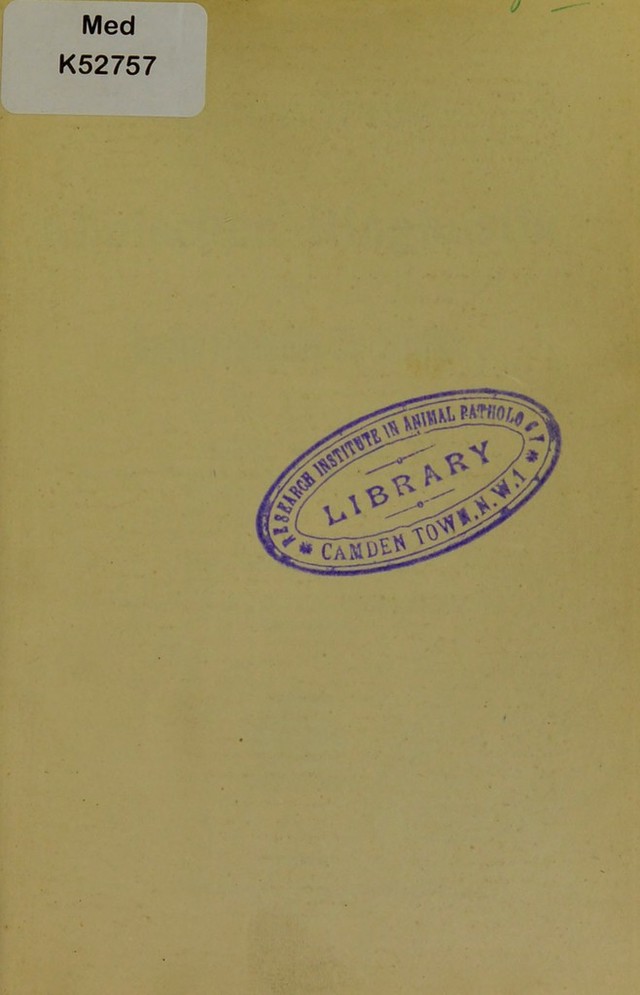 digitised image 3