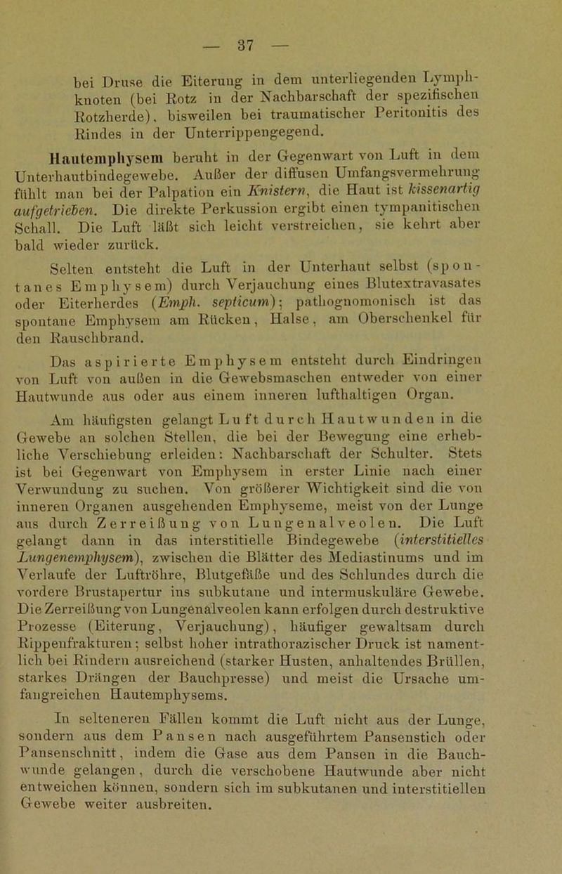 bei Druse die Eiterung in dem unterliegenden Lymph- knoten (bei Rotz in der Nachbarschaft der spezifischen Rotzherde), bisweilen bei traumatischer Peritonitis des Rindes in der Unterrippengegend. Hautemphysem beruht in der Gegenwart von Luft in dem Unterhautbindegewebe. Außer der dift'usen Umfangsvermehrung fühlt mau bei der Palpation ein Knistern, die Haut ist kissenartig aufgetrieden. Die direkte Perkussion ergibt einen tympanitischen Schall. Die Luft läßt sich leicht verstreichen, sie kehrt aber bald wieder zurück. Selten entsteht die Luft in der Unterhaut selbst (spon- tanes Emphysem) durch Verjauchung eines Blutextravasates oder Eiterherdes (Emjph. seplicum); pathognomonisch ist das spontane Emphysem am Rücken, Halse, am Oberschenkel für den Rauschbrand. Das aspirierte Emphysem entsteht durch Eindringen von Luft von außen in die Gewebsmaschen entweder von einer Hautwunde aus oder aus einem inneren lufthaltigen Organ. Am häufigsten gelangt Lu ft durch Hautwunden in die Gewebe an solchen Stellen, die bei der Bewegung eine ex-heb- liclxe Verschiebung erleiden: Nachbarschaft der Schulter. Stets ist bei Gegenwart von Emphysem in erster Linie nach einer Vei'wundung zu suchen. Von größerer Wichtigkeit sind die von inneren Oi-ganen ausgehenden Emphyseme, meist von der Lunge aus durch Zerreißung von Lungenalveolen. Die Luft gelangt dann in das interstitielle Bindegewebe (interstitielles Lungenempliysem), zwischen die Blätter des Mediastinums und im Verlaufe der Luftröhre, Blutgefäße uxxd des Schlundes durch die vordere Brustapertur ins subkutane und intennuskuläre Gewebe. Die Zerreißung von Lungenalveolen kann erfolgen durch destruktive Prozesse (Eiterung, Verjauchung), häufiger gewaltsam durch Rippenfrakturen; selbst hoher intrathorazischer Druck ist nament- lich bei Rindern ausreichend (starker Husten, anhaltendes Brüllen, starkes Di-ängen der Bauchpresse) und meist die Ursache um- fangreichen Hautemphysems. In selteneren Fällen kommt die Luft nicht aus der Lunge, sondern aus dem P a n s e n nach ausgefiiln'tem Pansenstich oder Pansenschnitt, indem die Gase aus dem Pansen in die Bauch- wunde gelangen , durch die verschobene Hautwunde aber nicht entweichen können, sondern sich im subkutanen und interstitiellen Gewebe weiter ausbreiten.