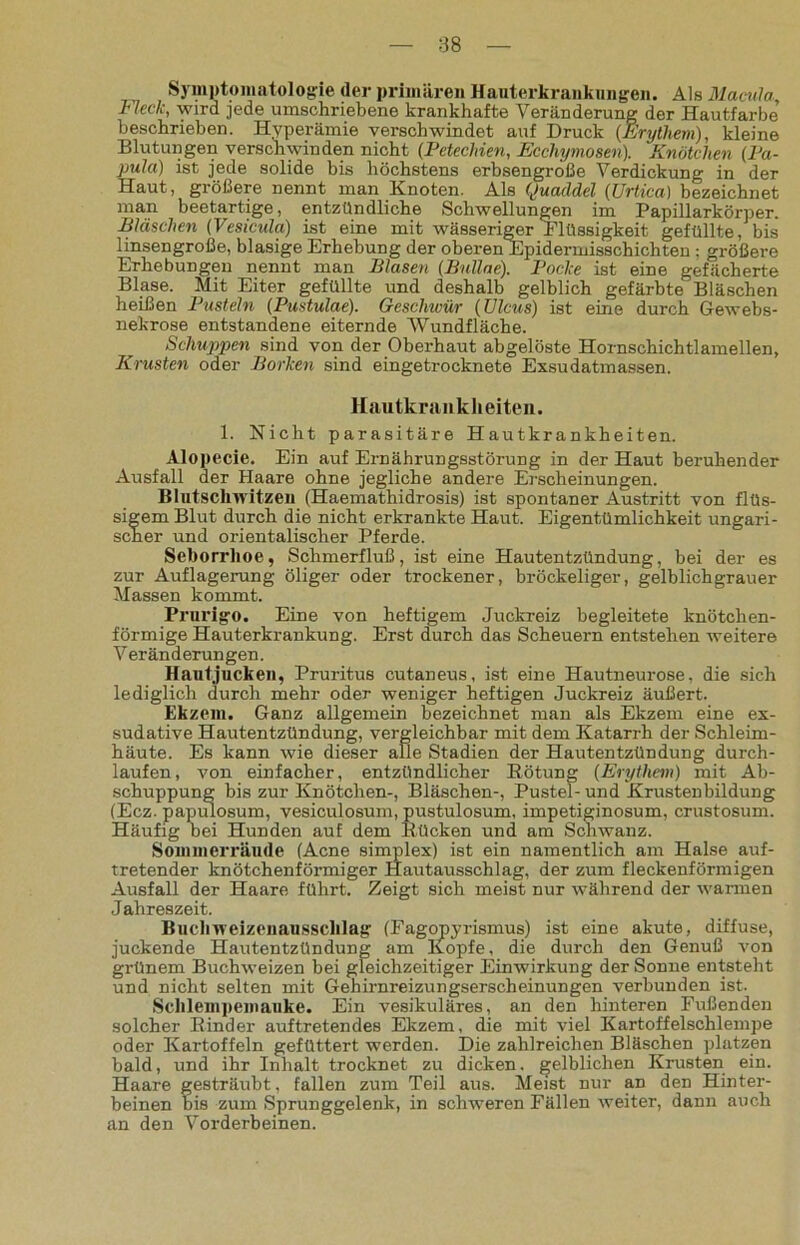 Symptomatologie der primären Hauterkrankungen. Als Macula Meck, wird jede umschriebene krankhafte Veränderung der Hautfarbe beschrieben. Hyperämie verschwindet auf Druck {Erythem), kleine Blutungen verschwinden nicht (Petechien, Eccliymosen). Knötchen (Pa- pula) ist jede solide bis höchstens erbsengroße Verdickung in der Haut, größere nennt man Knoten. Als Quaddel (Urtica) bezeichnet man beetartige, entzündliche Schwellungen im Papillarkörper. Bläschen (Vesicula) ist eine mit wässeriger Flüssigkeit gefüllte, bis linsengroße, blasige Erhebung der oberen Epidermisschichten; größere Erhebungen nennt man Blasen (Bullae). Pocke ist eine gefächerte Blase. Mit Eiter gefüllte und deshalb gelblich gefärbte Bläschen heißen Pusteln (Pustulae). Geschwür (Ulcus) ist eine durch Gewebs- nekrose entstandene eiternde Wundfläche. Schuppen sind von der Oberhaut abgelöste Hornschichtlamellen, Krusten oder Borken sind eingetrocknete Exsudatmassen. Hautkrankheiten. 1. Nicht parasitäre Hautkrankheiten. Alopecie. Ein auf Ernährungsstörung in der Haut beruhender Ausfall der Haare ohne jegliche andere Erscheinungen. Blutschwitzen (Haemathidrosis) ist spontaner Austritt von flüs- sigem Blut durch die nicht erkrankte Haut. Eigentümlichkeit ungari- scher und orientalischer Pferde. Seborrhoe, Schmerfluß, ist eine Hautentzündung, bei der es zur Auflagerung öliger oder trockener, bröckeliger, gelblichgrauer Massen kommt. Prurigo. Eine von heftigem Juckreiz begleitete knötchen- förmige Hauterkrankung. Erst durch das Scheuern entstehen weitere Veränderungen. Hautjucken, Pruritus cutaneus, ist eine Hautneurose, die sich lediglich durch mehr oder weniger heftigen Juckreiz äußert. Ekzem. Ganz allgemein bezeichnet man als Ekzem eine ex- sudative Hautentzündung, vergleichbar mit dem Katarrh der Schleim- häute. Es kann wie dieser alle Stadien der Hautentzündung durch- laufen, von einfacher, entzündlicher Rötung (Erythem) mit Ab- schuppung bis zur Knötchen-, Bläschen-, Pustel-und Krustenbildung (Ecz. papulosum, vesiculosum, pustulosum, impetiginosum, crustosum. Häufig bei Hunden auf dem Rücken und am Schwanz. Sommerräude (Acne simplex) ist ein namentlich am Halse auf- tretender knötchenförmiger Hautausschlag, der zum fleckenförmigen Ausfall der Haare führt. Zeigt sich meist nur während der warmen Jahreszeit. Buchweizenausschlag (Fagopyrismus) ist eine akute, diffuse, juckende Hautentzündung am Kopfe, die durch den Genuß von grünem Buchweizen bei gleichzeitiger Einwirkung der Sonne entsteht und nicht selten mit Gehirnreizungserscheinungen verbunden ist. Schlempemauke. Ein vesikuläres, an den hinteren Fußenden solcher Rinder auftretendes Ekzem, die mit viel Kartoffelschlempe oder Kartoffeln gefüttert werden. Die zahlreichen Bläschen platzen bald, und ihr Inhalt trocknet zu dicken, gelblichen Krusten ein. Haare gesträubt, fallen zum Teil aus. Meist nur an den Hinter- beinen bis zum Sprunggelenk, in schweren Fällen weiter, dann auch an den Vorderbeinen.