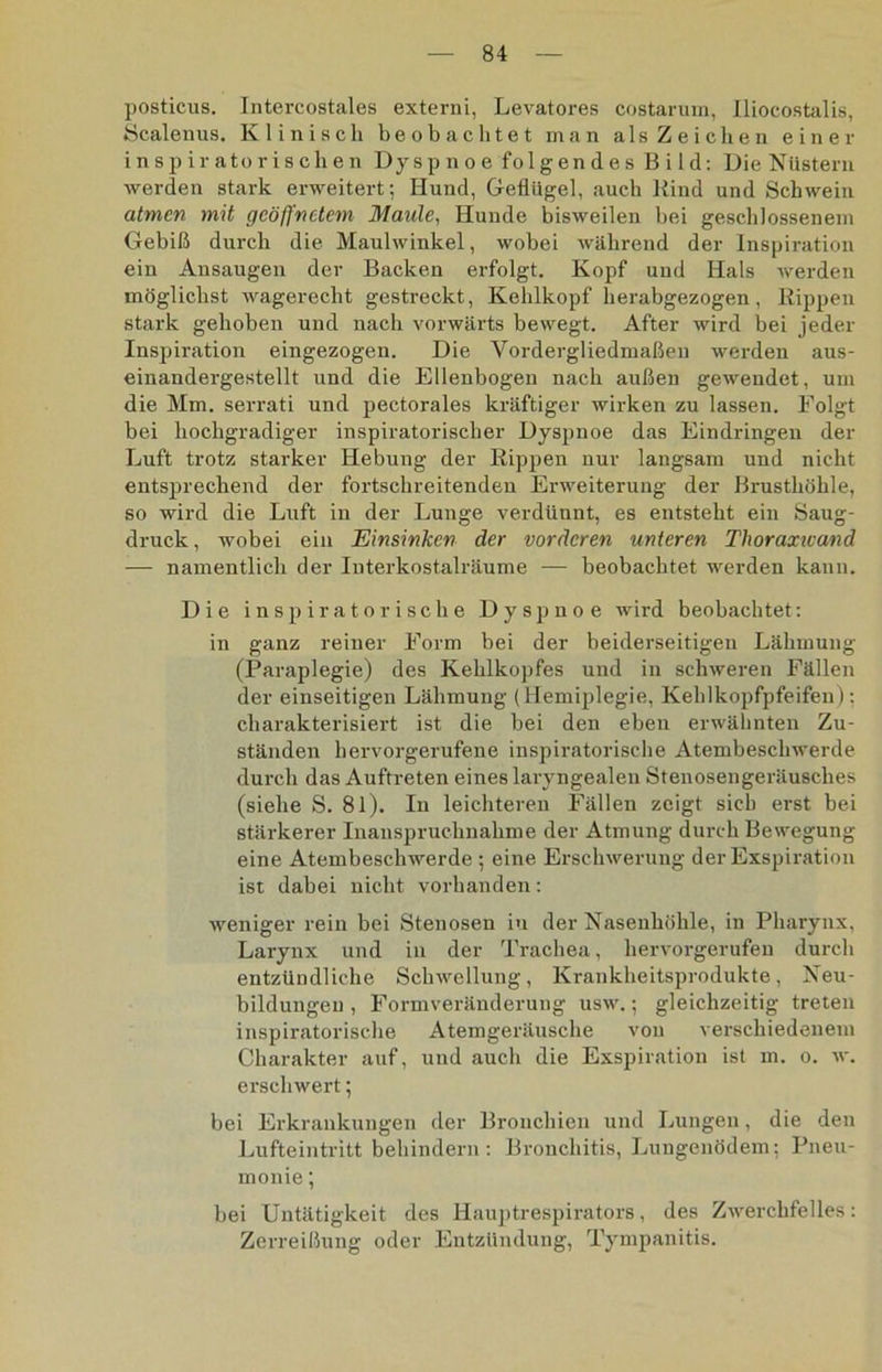 posticus. Intercostales externi, Levatores costarum, IlLocostalis, Scalenus. Klinisch beobachtet man als Zeichen einer inspiratorischen Dyspnoe folgendes Bild: Die Nüstern werden stark erweitert; Hund, Geflügel, auch Kind und Schwein atmen mit geöffnetem Maule, Hunde bisweilen bei geschlossenem Gebiß durch die Maulwinkel, wobei während der Inspiration ein Ansaugen der Backen erfolgt. Kopf und Hals werden möglichst wagerecht gestreckt, Kehlkopf herabgezogen, Rippen stark gehoben und nach vorwärts bewegt. After wird bei jeder Inspiration eingezogen. Die Yordergliedmaßen werden aus- einandergestellt und die Ellenbogen nach außen gewendet, um die Mm. serrati und pectorales kräftiger wirken zu lassen. Folgt bei hochgradiger inspiratorischer Dyspnoe das Eindringen der Luft trotz starker Hebung der Rippen nur langsam und nicht entsprechend der fortschreitenden Erweiterung der Brusthöhle, so wird die Luft in der Lunge verdünnt, es entsteht ein Saug- druck , wobei ein Einsinken der vorderen unteren Thoraxwand — namentlich der Interkostalräume — beobachtet werden kann. Die inspiratorische Dyspnoe wird beobachtet: in ganz reiner Form bei der beiderseitigen Lähmung (Paraplegie) des Kehlkopfes und in schweren Fällen der einseitigen Lähmung (Hemiplegie, Kehlkopfpfeifen): charakterisiert ist die bei den eben erwähnten Zu- ständen hervorgerufene inspiratorische Atembeschwerde durch das Auftreten eines laryngealen Stenosengeräusches (siehe S. 81). In leichteren Fällen zeigt sich erst bei stärkerer Inanspruchnahme der Atmung durch Bewegung eine Atembeschwerde ; eine Erschwerung der Exspiration ist dabei nicht vorhanden: weniger rein bei Stenosen iu der Nasenhöhle, in Pharynx, Larynx und iu der Trachea, hervorgerufen durch entzündliche Schwellung, Krankheitsprodukte, Neu- bildungen , Formveränderung usw.; gleichzeitig treten inspiratorische Atemgeräusche von verschiedenem Charakter auf, und auch die Exspiration ist m. o. w. erschwert; bei Erkrankungen der Bronchien und Lungen, die den Lufteintritt behindern: Bronchitis, Lungenödem; Pneu- monie ; bei Untätigkeit des Hauptrespirators, des Zwerchfelles: Zerreißung oder Entzündung, Tympanitis.