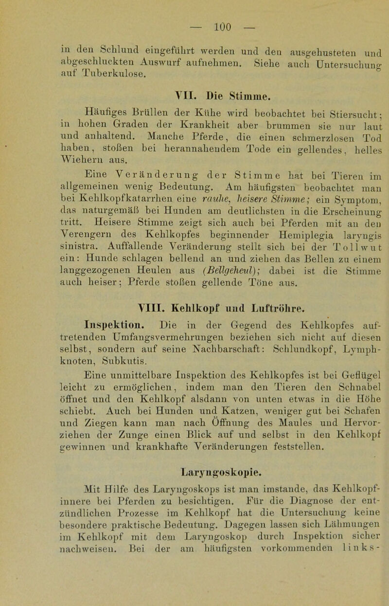 in den Schlund eingeführt werden und den ausgehusteten und abgeschluckten Auswurf aufnehmen. Siehe auch Untersuchung auf Tuberkulose. VII. Die Stimme. Häutiges Brüllen der Kühe wird beobachtet bei Stiersucht; in hohen Graden der Krankheit aber brummen sie nur laut und anhaltend. Manche Pferde, die einen schmerzlosen Tod haben, stoßen bei herannahendem Tode ein gellendes, helles Wiehern aus. Eine Veränderung der Stimme hat bei Tieren im allgemeinen wenig Bedeutung. Am häufigsten beobachtet man bei Kehlkopfkatarrhen eine rauhe, heisere Stimme; ein Symptom, das naturgemäß bei Hunden am deutlichsten in die Erscheinung tritt. Heisere Stimme zeigt sich auch bei Pferden mit au den Verengex-n des Kehlkopfes beginnender Hemiplegia laryngis sinistra. Auffallende Verändei-ung stellt sich bei der Tollwut ein: Hunde schlagen bellend an und ziehen das Bellen zu einem langgezogenen Heulen aus (Bellgeheal); dabei ist die Stimme auch heiser: Pferde stoßen gellende Töne aus. VIII. Kehlkopf und Luftröhre. Inspektion. Die in der Gegend des Kehlkopfes auf- tretenden Umfangsvermehi’ungen beziehen sich nicht auf diesen selbst, sondern auf seine Nachbarschaft: Schlundkopf, Lymph- knoten, Subkutis. Eine unmittelbare Inspektion des Kehlkopfes ist bei Geflügel leicht zu ermöglichen, indem man den Tieren den Schnabel öffnet und den Kehlkopf alsdann von unten etwas in die Höhe schiebt. Auch hei Hunden und Katzen, weniger gut bei Schafen xind Ziegen kann man nach Öffnung des Maules und Hervor- ziehen der Zunge einen Blick auf und selbst in den Kehlkopf gewinnen und krankhafte Veränderungen feststellen. Laryngoskopie. Mit Hilfe des Laryngoskops ist man imstande, das Kehlkopf- innere bei Pferden zu besichtigen. Für die Diagnose der ent- zündlichen Prozesse im Kehlkopf hat die Untersuchung keine besondere praktische Bedeutung. Dagegen lassen sich Lähmungen im Kehlkopf mit dem Laxyngoskop durch Inspektion sicher nacliweiseu. Bei der am häufigsten vorkommenden links-