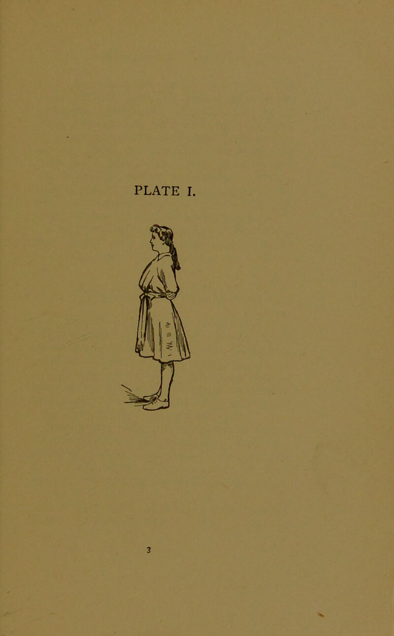 PLATE I.