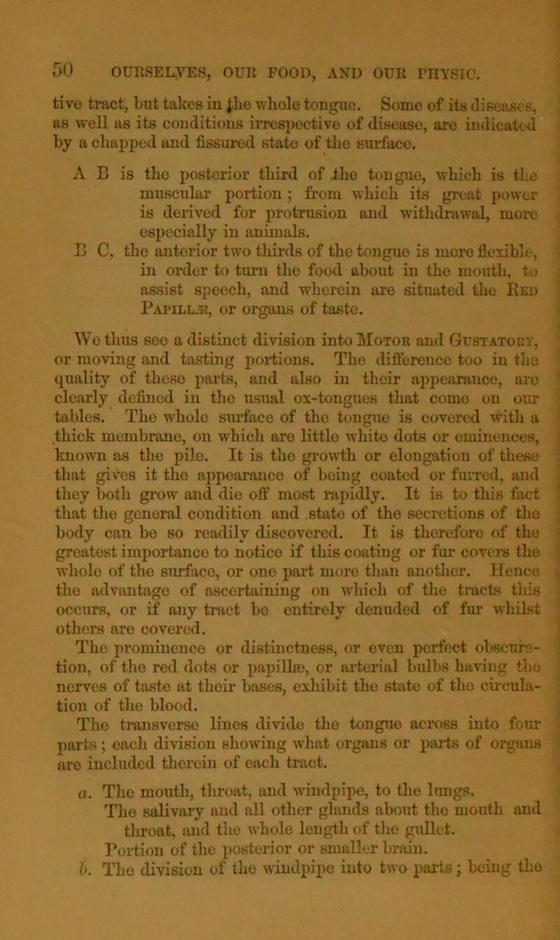 tivo tmct, but takes in Jbe whole tongue. Some of its diseases, as well as its conditions iiTespective of disease, are indicated by a ehapped and fissured state of the surface. A B is the posterior third of Ihe tongue, which is the muscular portion; from which its great power is dei’ived for pi’otrusion and withdrawal, more especially in animals. B C, the anterior two thiixls of the tongue is more flexibh-, in order to tm-n the food about in the mouth, to assist speech, and wherein are situated the Bed Papilue, or organs of taste. We thus see a distinct division intoMoTOK and Gust atop, y, or moving and tasting poi-tions. The difierence too in the quality of these parts, and also in their appearance, are clearly defined in the usual ox-tongues that come on om: tables. The whole surface of the tongue is covered with a .thick membrane, on which are little white dots or eminences, known as the pile. It is the growth or elongation of these that gives it the appearance of being coated or furred, and they both grow and die off most rajiidly. It is to this fact that the general condition and state of the secretions of the body call bo so readily discovered. It is therefore of the greatest importance to notice if this coating or fur covei’s the whole of the surface, or one part more than another. Hence the advantage of ascertaining on which of the tracts tliis occurs, or if any ti-act bo entirely denuded of fm‘ whilst others arc covered. The prominence or distinctness, or even perfect obscura- tion, of the red dots or papilla), or ai-terial bulbs having the nerves of taste at their bases, exhibit the state of the cii'cula- tion of the blood. The ti’ansverse lines divitle the tongue across into four parts ; eacli division showing what organs or parts of organs are included therein of each tract. a. The mouth, throat, and windpipe, to the lungs. The salivary and all other glands about the mouth and tliroat, and the whole length of tlie gullet. Portion of the posterior or smaller brain. h. The division of the windpipe into two parts; being the