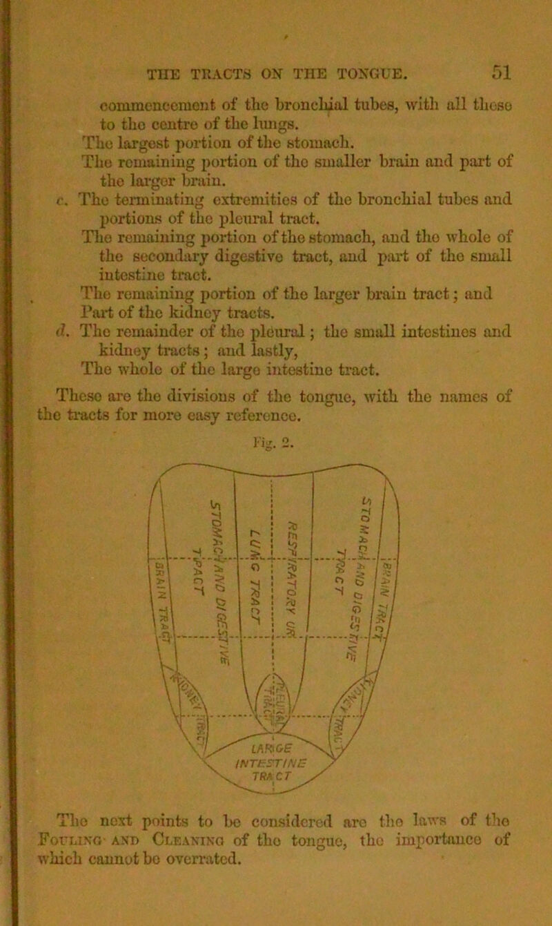 conimcncemont of the bronchial tubes, with all theso to the centre of the liuigs. The largest portion of the stomach. The remaining portion of the smaller brain and part of the lai’gor brain. c. The terminating extremities of the bronchial tubes and portions of the plem-al tract. Tlie remaining portion of the stomach, and the whole of the secondary digestive tract, and pai't of the small intestine tract. The remaining portion of the larger brain tract; and Part of the kidney tracts. d. The remainder of the pleural; the small intestines and kidney tracts; and lastly. The whole of the largo intestine tract. These are the divisions of the tongue, with the names of the tracts for more easy reference. Fig. 2. The next points to lx; considered are tho laws of tho ForiiixG- AXi> Cleaning of tho tongue, the impoihinco of which cannot bo overrated.