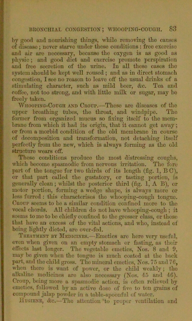 by good and nourishing things, while removing the causes of (liseaso ; never starve imder these conditions : free exercise and air are necessary, because the oxygen is os good as physic; and good diet and exercise promote perspiration and free secretion of the urine. In all these cases the system should bo kept well roused ; and ns in direct stomach congestion, I see no reason to leave off tlie usual diinks of a stimulating character, such as mild beer, &c. Tea and coffee, not too strong, and mth little milk or sugar, may bo freely taken. WHOOPiNO-CouGn AND Croup.—Tlicso are diseases of the upper l)reathing tubes, the throat, and windpipe. The fonner from organized mucus so fixing itself to the mem- brane from w'hich it had its origin, that it cannot get aw'ay; or from a morbid condition of the old membrane in course of decomposition and transformation, not detaching itself perfectly fr-om the new, which is always forming as the old structure wears off. Tliese conditions produce the most distressing coughs, which become spasmodic from nervous irritation. Tho fore part of the tongue for two thirds of its length (fig. 1, BC), or that part called the gustatory, or tasting portion, is generally clean; whilst the posterior third (fig. 1, A B), or motor portion, fonning a wedge shape, is alw'ays more or less fuiTed : tliis characterises tho whooping-cough tongue. Cuonp seems to be a similar condition confined more to tho vocal chords. All children do not have whooping-cough ; it seems to me to bo chiefly confined to the gi’osser class, or those that have an excess of the vital actions, and who, instead of being lightly dieted, are over-fed. Treatment by Medicines.—Emetics arc hero very useful, even when given on an empty stomach or fasting, as their effects last longer. Tho vegetable emetics, Nos. 8 and 9, may bo given when the tongue is much coated at tho back part, and the child gross. The mineral emetics. Nos. 75 and 76, ^vhen there is want of power, or the chihl wcaltly; tho alkaline medicines are also necessary (Nos. 45 and 46). Croup, being more a spasmodic action, is often relieved by emetics, followed by an active dose of five to ten grains of compound jalap pow'dcr in a table-spoonful of water. Hvoiene, &c.—The attention to proper ventilation and