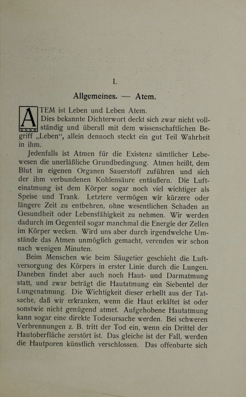 I. Allgemeines. — Atem. i TEM ist Leben und Leben Atem. Dies bekannte Dichterwort deckt sich zwar nicht voll- ständig und überall mit dem wissenschaftlichen Be- ,Ltbtn“, allein dennoch steckt ein gut Teil Wahrheit in ihm. ' ■ Jedenfalls ist Atmen für die Existenz sämtlicher Lebe- wesen die unerläßliche Grundbedingung. Atmen heißt, dem Blut in eigenen Organen Sauerstoff zuführen und sich der ihm verbundenen Kohlensäure entäußern. Die Luft- einatmung ist dem Körper sogar noch viel wichtiger als Speise und Trank. Letztere vermögen wir kürzere oder längere Zeit zu entbehren, ohne wesentlichen Schaden an Gesundheit oder Lebensfähigkeit zu nehmen. Wir werden dadurch im Gegenteil sogar manchmal die Energie der Zellen im Körper wecken. Wird uns aber durch irgendwelche Um- stände das Atmen unmöglich gemacht, verenden wir schon nach wenigen Minuten. ' i. Beim Menschen wie beim Säugetier geschieht die “Luft- versorgung des Körpers in erster Linie durch die )Lungen. Daneben findet aber auch noch Haut- und Darmatmung statt, und zwar beträgt die Hautatmung ein Siebentel der Lungenatmung. Die Wichtigkeit dieser erhellt aus der Tat- sache, daß wir erkranken, wenn die Haut erkältet ist oder sonstwie nicht genügend atmet. Aufgehobene Hautatmung kann sogar eine direkte Todesursache werden. Bei schweren Verbrennungen z. B. tritt der Tod ein, wenn ein Drittel der Hautoberfläche zerstört ist. Das gleiche ist der Lall, werden die Hautporen künstlich verschlossen. Das offenbarte sich