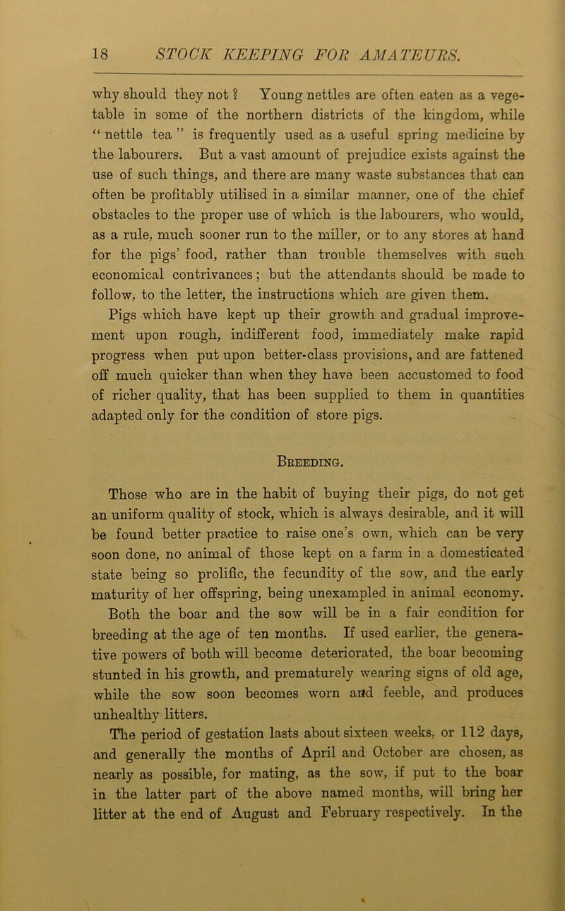 why should they not ? Young nettles are often eaten as a vege- table in some of the northern districts of the kingdom, while “ nettle tea ” is frequently used as a useful spring medicine by the labourers. But a vast amount of prejudice exists against the use of such things, and there are many waste substances that can often be profitably utilised in a similar manner, one of the chief obstacles to the proper use of which is the labourers, who would, as a rule, much sooner run to the miller, or to any stores at hand for the pigs’ food, rather than trouble themselves with such economical contrivances; but the attendants should be made to follow, to the letter, the instructions which are given them. Pigs which have kept up their growth and gradual improve- ment upon rough, indifferent food, immediately make rapid progress when put upon better-class provisions, and are fattened off much quicker than when they have been accustomed to food of richer quality, that has been supplied to them in quantities adapted only for the condition of store pigs. Breeding. Those who are in the habit of buying their pigs, do not get an uniform quality of stock, which is always desirable, and it will be found better practice to raise one’s own, which can be very soon done, no animal of those kept on a farm in a domesticated state being so prolific, the fecundity of the sow, and the early maturity of her offspring, being unexampled in animal economy. Both the boar and the sow will be in a fair condition for breeding at the age of ten months. If used earlier, the genera- tive powers of both will become deteriorated, the boar becoming stunted in his growth, and prematurely wearing signs of old age, while the sow soon becomes worn and feeble, and produces unhealthy litters. The period of gestation lasts about sixteen weeks, or 112 days, and generally the months of April and October are chosen, as nearly as possible, for mating, as the sow, if put to the boar in the latter part of the above named months, will bring her litter at the end of August and February respectively. In the
