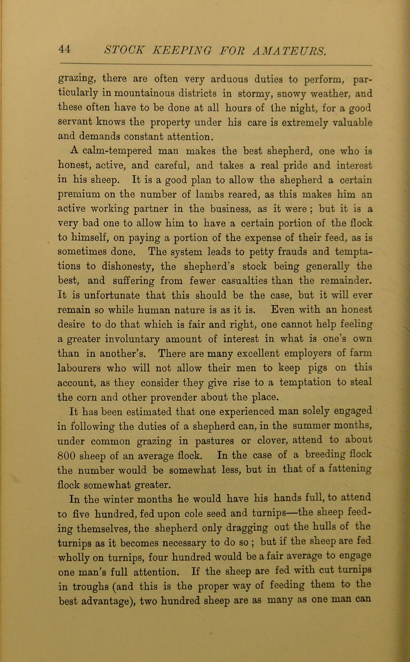 grazing, there are often very arduous duties to perform, par- ticularly in mountainous districts in stormy, snowy weather, and these often have to be done at all hours of the night, for a good servant knows the property under his care is extremely valuable and demands constant attention. A calm-tempered man makes the best shepherd, one who is honest, active, and careful, and takes a real pride and interest in his sheep. It is a good plan to allow the shepherd a certain premium on the number of lambs reared, as this makes him an active working partner in the business, as it were ; but it is a very bad one to allow him to have a certain portion of the flock to himself, on paying a portion of the expense of their feed, as is sometimes done. The system leads to petty frauds and tempta- tions to dishonesty, the shepherd’s stock being generally the best, and suffering from fewer casualties than the remainder. It is unfortunate that this should be the case, but it will ever remain so while human nature is as it is. Even with an honest desire to do that which is fair and right, one cannot help feeling a greater involuntary amount of interest in what is one’s own than in another’s. There are many excellent employers of farm labourers who will not allow their men to keep pigs on this account, as they consider they give rise to a temptation to steal the corn and other provender about the place. It has been estimated that one experienced man solely engaged in following the duties of a shepherd can, in the summer months, under common grazing in pastures or clover, attend to about 800 sheep of an average flock. In the case of a breeding flock the number would be somewhat less, but in that of a fattening flock somewhat greater. In the winter months he would have his hands full, to attend to five hundred, fed upon cole seed and turnips—the sheep feed- ing themselves, the shepherd only dragging out the hulls of the turnips as it becomes necessary to do so ; but if the sheep are fed wholly on turnips, four hundred would be a fair average to engage one man’s full attention. If the sheep are fed with cut turnips in troughs (and this is the proper way of feeding them to the best advantage), two hundred sheep are as many as one man can