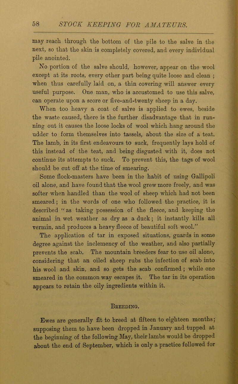 may reach through the bottom of the pile to the salve in the next, so that the skin is completely covered, and every individual pile anointed. No portion of the salve should, however, appear on the wool except at its roots, every other part being quite loose and clean ; when thus carefully laid on, a thin covering will answer every useful purpose. One man, who is accustomed to use this salve, can operate upon a score or fiwe-and-twenty sheep in a day. When too heavy a coat of salve is applied to ewes, beside the waste caused, there is the further disadvantage that in run- ning out it causes the loose locks of wool which hang around the udder to form themselves into tassels, about the size of a teat. The lamb, in its first endeavours to suck, frequently lays hold of this instead of the teat, and being disgusted with it, does not continue its attempts to suck. To prevent this, the tags of wool should be cut off at the time of smearing. Some flock-masters have been in the habit of using Gallipoli oil alone, and have found that the wool grew more freely, and was softer when handled than the wool of sheep which had not been smeared; in the words of one who followed the practice, it is described “as taking possession of the fleece, and keeping the animal in wet weather as dry as a duck; it instantly kills all vermin, and produces a heavy fleece of beautiful soft wool.” The application of tar in exposed situations, guards in some degree against the inclemency of the weather, and also partially prevents the scab. The mountain breeders fear to use oil alone, considering that an oiled sheep rubs the infection of scab into his wool and skin, and so gets the scab confirmed ; while one smeared in the common way escapes it. The tar in its operation appears to retain the oily ingredients within it. Breeding. Ewes are generally fit to breed at fifteen to eighteen months; supposing them to have been dropped in January and tupped at the beginning of the following May, their lambs would be dropped about the end of September, which is only a practice followed for