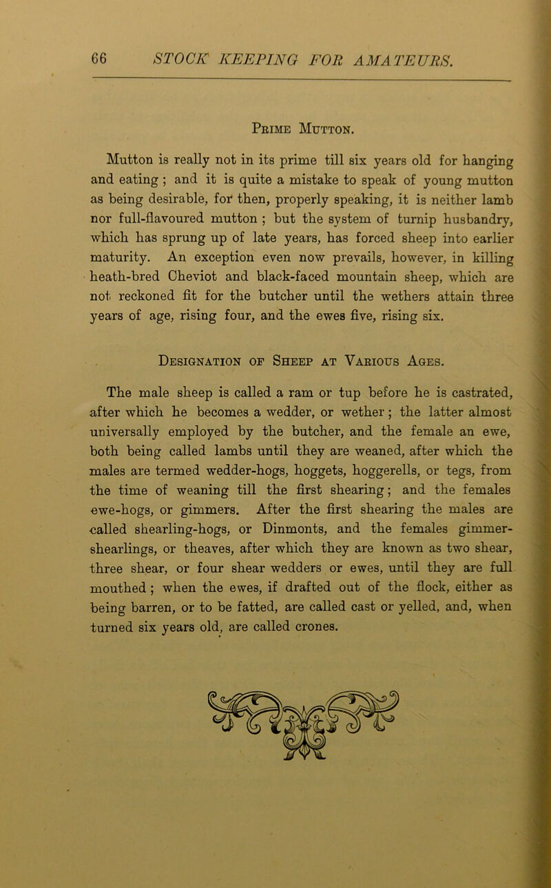 Prime Mutton. Mutton is really not in its prime till six years old for hanging and eating ; and it is quite a mistake to speak of young mutton as being desirable, for then, properly speaking, it is neither lamb nor full-flavoured mutton ; but the system of turnip husbandry, which has sprung up of late years, has forced sheep into earlier maturity. An exception even now prevails, however, in killing heath-bred Cheviot and black-faced mountain sheep, which are not reckoned fit for the butcher until the wethers attain three years of age, rising four, and the ewes five, rising six. Designation op Sheep at Various Ages. The male sheep is called a ram or tup before he is castrated, after which he becomes a wedder, or wether; the latter almost universally employed by the butcher, and the female an ewe, both being called lambs until they are weaned, after which the males are termed wedder-hogs, hoggets, hoggerells, or tegs, from the time of weaning till the first shearing; and the females ewe-hogs, or gimmers. After the first shearing the males are called shearling-hogs, or Dinmonts, and the females gimmer- shearlings, or theaves, after which they are known as two shear, three shear, or four shear wedders or ewes, until they are full mouthed ; when the ewes, if drafted out of the flock, either as being barren, or to be fatted, are called cast or yelled, and, when turned six years old, are called crones.