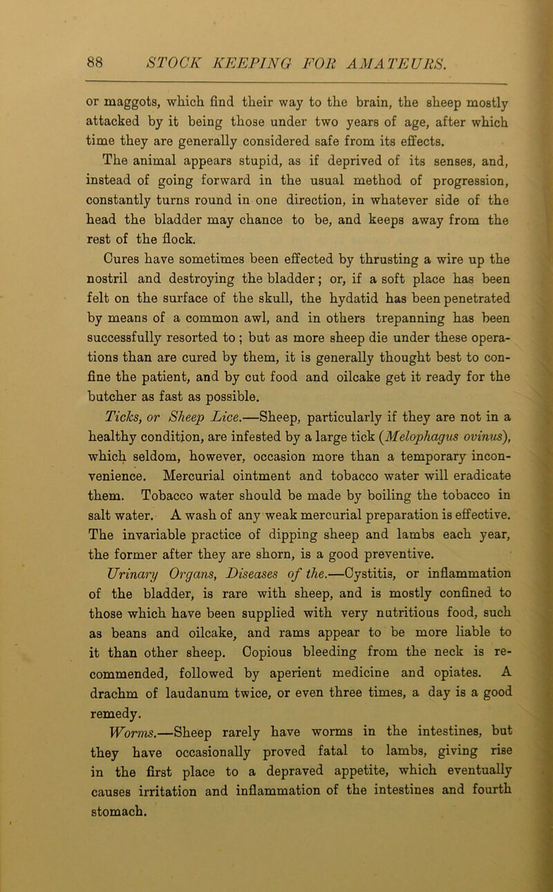 or maggots, which find their way to the brain, the sheep mostly attacked by it being those under two years of age, after which time they are generally considered safe from its effects. The animal appears stupid, as if deprived of its senses, and, instead of going forward in the usual method of progression, constantly turns round in one direction, in whatever side of the head the bladder may chance to be, and keeps away from the rest of the flock. Cures have sometimes been effected by thrusting a wire up the nostril and destroying the bladder; or, if a soft place has been felt on the surface of the skull, the hydatid has been penetrated by means of a common awl, and in others trepanning has been successfully resorted to ; but as more sheep die under these opera- tions than are cured by them, it is generally thought best to con- fine the patient, and by cut food and oilcake get it ready for the butcher as fast as possible. Ticks, or Sheep Lice.—Sheep, particularly if they are not in a healthy condition, are infested by a large tick (Melophagus ovinus), which seldom, however, occasion more than a temporary incon- venience. Mercurial ointment and tobacco water will eradicate them. Tobacco water should be made by boiling the tobacco in salt water. A wash of any weak mercurial preparation is effective. The invariable practice of dipping sheep and lambs each year, the former after they are shorn, is a good preventive. Urinary Organs, Diseases of the.—Cystitis, or inflammation of the bladder, is rare with sheep, and is mostly confined to those which have been supplied with very nutritious food, such as beans and oilcake, and rams appear to be more liable to it than other sheep. Copious bleeding from the neck is re- commended, followed by aperient medicine and opiates. A drachm of laudanum twice, or even three times, a day is a good remedy. Worms.—Sheep rarely have worms in the intestines, but they have occasionally proved fatal to lambs, giving rise in the first place to a depraved appetite, which eventually causes irritation and inflammation of the intestines and fourth stomach.