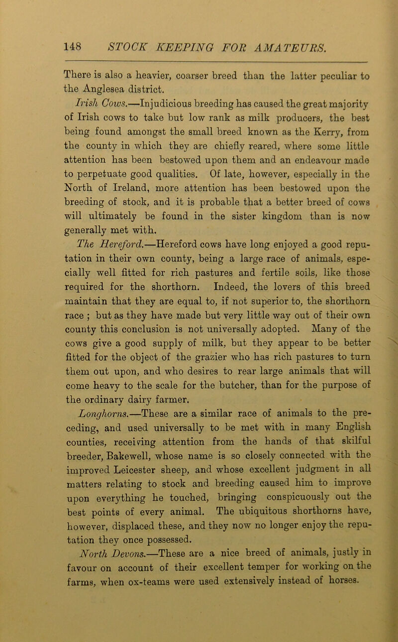 There is also a heavier, coarser breed than the latter peculiar to the Anglesea district. Irish Cows.—Injudicious breeding has caused the great majority of Irish cows to take but low rank as milk producers, the best being found amongst the small breed known as the Kerry, from the county in which they are chiefly reared, where some little attention has been bestowed upon them and an endeavour made to perpetuate good qualities. Of late, however, especially in the North of Ireland, more attention has been bestowed upon the breeding of stock, and it is probable that a better breed of cows will ultimately be found in the sister kingdom than is now generally met with. The Hereford.—Hereford cows have long enjoyed a good repu- tation in their own county, being a large race of animals, espe- cially well fitted for rich pastures and fertile soils, like those required for the shorthorn. Indeed, the lovers of this breed maintain that they are equal to, if not superior to, the shorthorn race ; but as they have made but very little way out of their own county this conclusion is not universally adopted. Many of the cows give a good supply of milk, but they appear to be better fitted for the object of the grazier who has rich pastures to turn them out upon, and who desires to rear large animals that will come heavy to the scale for the butcher, than for the purpose of the ordinary dairy farmer. Longhorns.—These are a similar race of animals to the pre- ceding, and used universally to be met with in many English counties, receiving attention from the hands of that skilful breeder, Bakewell, whose name is so closely connected with the improved Leicester sheep, and whose excellent judgment in all matters relating to stock and breeding caused him to improve upon everything he touched, bringing conspicuously out the best points of every animal. The ubiquitous shorthorns have, however, displaced these, and they now no longer enjoy the repu- tation they once possessed. North Devons,—These are a nice breed of animals, justly in favour on account of their excellent temper for working on the farms, when ox-teams were used extensively instead of horses.