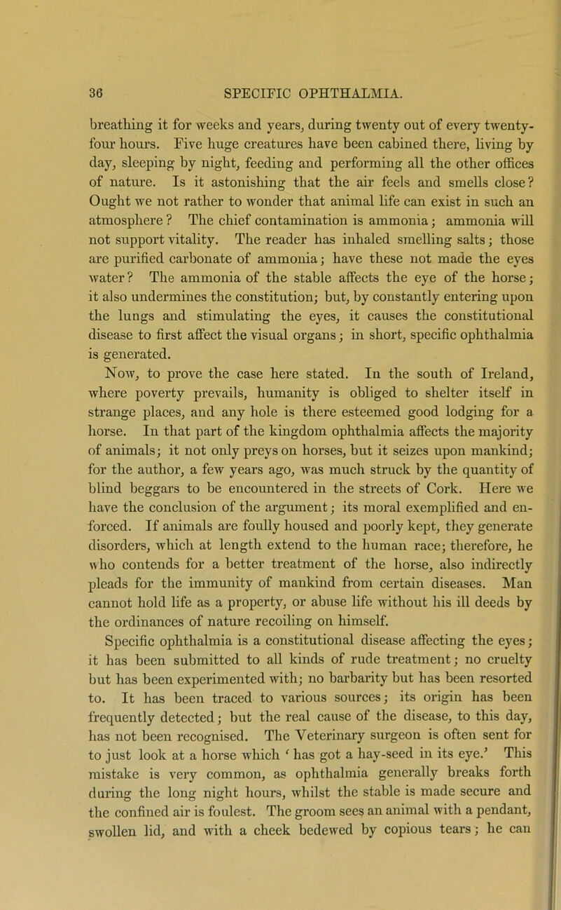 breathing it for weeks and years, during twenty out of every twenty- four hours. Five huge creatures have been cabined there, living by day, sleeping by night, feeding and performing all the other offices of nature. Is it astonishing that the air feels and smells close? Ought we not rather to wonder that animal life can exist in such an atmosphere ? The chief contamination is ammonia; ammonia will not support vitality. The reader has inhaled smelling salts; those are purified carbonate of ammonia; have these not made the eyes water ? The ammonia of the stable affects the eye of the horse; it also undermines the constitution; but, by constantly entering upon the lungs and stimulating the eyes, it causes the constitutional disease to first affect the visual organs; in short, specific ophthalmia is generated. Now, to prove the case here stated. In the south of Ireland, where poverty prevails, humanity is obliged to shelter itself in strange places, and any hole is there esteemed good lodging for a horse. In that part of the kingdom ophthalmia affects the majority of animals; it not only preys on horses, hut it seizes upon mankind; for the author, a few years ago, was much struck by the quantity of blind beggars to be encountered in the streets of Cork. Here we have the conclusion of the argument; its moral exemplified and en- forced. If animals are foully housed and poorly kept, they generate disorders, which at length extend to the human race; therefore, he who contends for a better treatment of the horse, also indirectly pleads for the immunity of mankind from certain diseases. Man cannot hold life as a property, or abuse life without his ill deeds by the ordinances of nature recoiling on himself. Specific ophthalmia is a constitutional disease affecting the eyes; it has been submitted to all kinds of rude treatment; no cruelty but has been experimented with; no barbarity but has been resorted to. It has been traced to various sources; its origin has been frequently detected; but the real cause of the disease, to this day, has not been recognised. The Veterinary surgeon is often sent for to just look at a horse which ‘ has got a hay-seed in its eye.’ This mistake is very common, as ophthalmia generally breaks forth during the long night hours, whilst the stable is made secure and the confined air is foulest. The groom see? an animal with a pendant, swollen lid, and with a cheek bedewed by copious tears; he can
