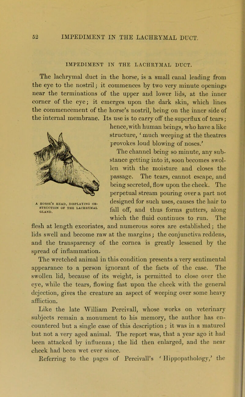 IMPEDIMENT IN THE LACHRYMAL DUCT. The lachrymal duct in the horse, is a small canal leading from the eye to the nostril; it commences by two very minute openings near the terminations of the upper and lower lids, at the inner corner of the eye; it emerges upon the dark skin, which lines the commencement of the horse’s nostril, being on the inner side of the internal membrane. Its use is to carry off the superflux of tears; hence, with human beings, who have a like structure, ‘ much weeping at the theati’es provokes loud blowing of noses.’ The channel being so minute, any sub- stance getting into it, soon becomes swol- len with the moisture and closes the passage. The tears, cannot escape, and being secreted, flow upon the cheek. The perpetual stream pouring over a part not designed for such uses, causes the hair to fall off, and thus forms gutters, along which the fluid continues to run. The flesh at length excoriates, and numerous sores are established; the lids swell and become raw at the margins; the conjunctiva reddens, and the transparency of the cornea is greatly lessened by the spread of inflammation. The wretched animal in this condition presents a very sentimental appearance to a person ignorant of the facts of the case. The swollen lid, because of its weight, is permitted to close over the eye, while the tears, flowing fast upon the cheek with the general dejection, gives the creature an aspect of weeping over some heavy affliction. Like the late William Percivall, whose works on veterinary subjects remain a monument to his memory, the author has en- countered but a single case of this description; it was in a matured but not a very aged animal. The report was, that a year ago it had been attacked by influenza; the lid then enlarged, and the near cheek had been wet ever since. Referring to the pages of Percivall’s f Hippopathology,’ the a horse’s head, displaying ob- struction OF THE LACHRYMAL GLAND.