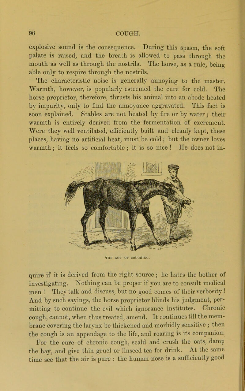 explosive sound is the consequence. During this spasm, the soft palate is raised, and the breath is allowed to pass through the mouth as well as through the nostrils. The horse, as a rule, being able only to respire through the nostrils. The characteristic noise is generally annoying to the master. Warmth, however, is popularly esteemed the cure for cold. The horse proprietor, therefore, thrusts his animal into an abode heated by impurity, only to find the annoyance aggravated. This fact is soon explained. Stables are not heated by fire or by water; their warmth is entirely derived from the fermentation of excrement. Were they well ventilated, efficiently built and cleanly kept, these places, having no artificial heat, must be cold; but the owner loves warmth; it feels so comfortable; it is so nice ! He does not in- tUE ACT OF COt'OHINQ. quire if it is derived from the right source; he hates the bother of investigating. Nothing can be proper if you are to consult medical men ! They talk and discuss, but no good comes of their verbosity ! And by such sayings, the horse proprietor blinds his judgment, per- mitting to continue the evil which ignorance institutes. Chronic cough, cannot, when thus treated, amend. It continues till the mem- brane covering the larynx be thickened and morbidly sensitive ; then the cough is an appendage to the life, and roaring is its companion. For the cure of chronic cough, scald and crush the oats, damp the hay, and give thin gruel or linseed tea for drink. At the same time see that the air is pure : the human nose is a sufficiently good