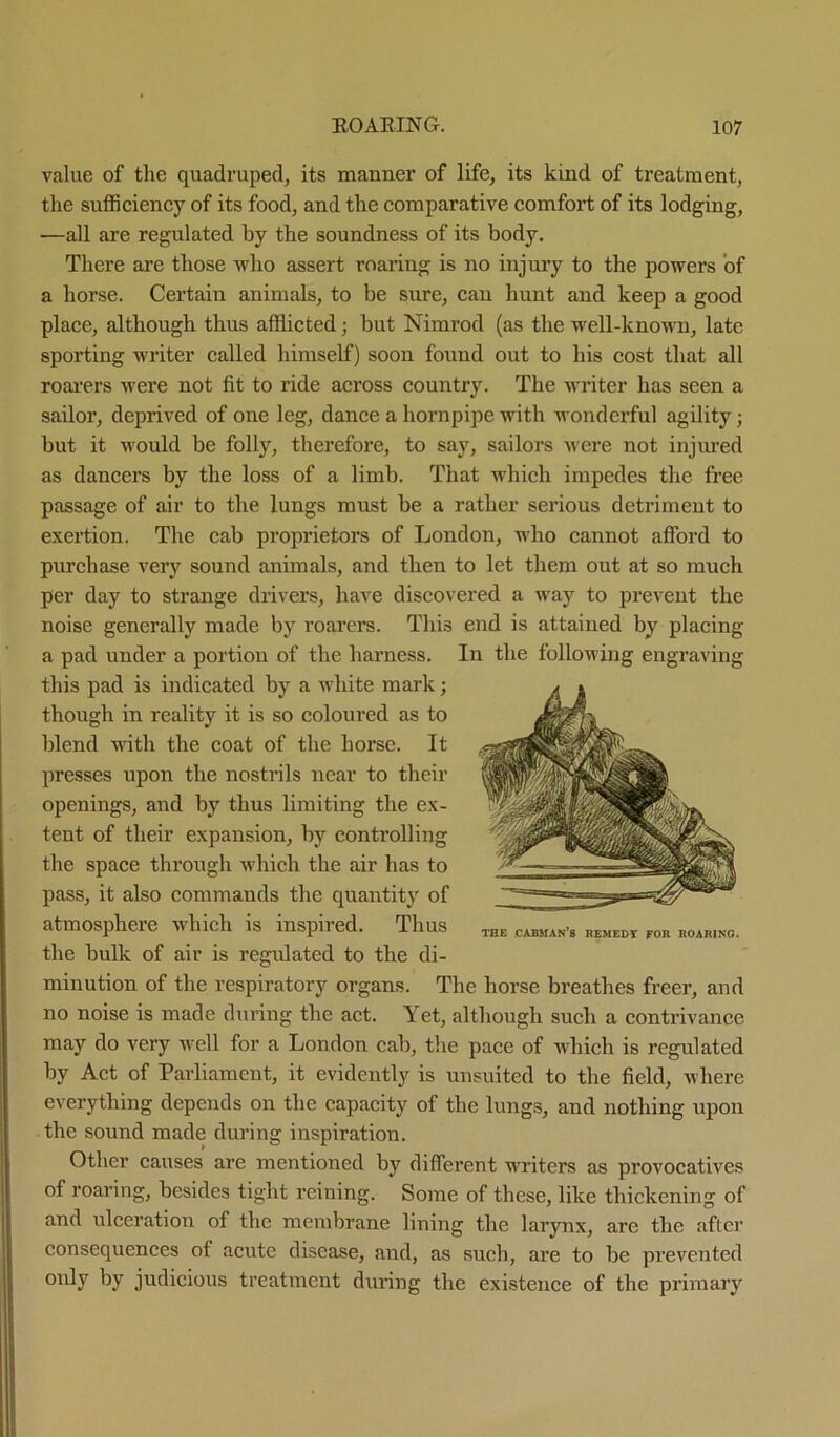 value of the quadruped, its manner of life, its kind of treatment, the sufficiency of its food, and the comparative comfort of its lodging, —all are regulated by the soundness of its body. There are those who assert roaring is no injury to the powers of a horse. Certain animals, to be sure, can hunt and keep a good place, although thus afflicted; but Nimrod (as the well-known, late sporting writer called himself) soon found out to his cost that all roarers were not fit to ride across country. The writer has seen a sailor, deprived of one leg, dance a hornpipe with wonderful agility; but it would be folly, therefore, to say, sailors were not injured as dancers by the loss of a limb. That which impedes the free passage of air to the lungs must be a rather serious detriment to exertion. The cab proprietors of London, who cannot afford to purchase very sound animals, and then to let them out at so much per day to strange drivers, have discovered a way to prevent the noise generally made by roarers. This end is attained by placing a pad under a portion of the harness. In the following engraving this pad is indicated by a white mark; though in reality it is so coloured as to blend with the coat of the horse. It presses upon the nostrils near to their openings, and by thus limiting the ex- tent of their expansion, by controlling the space through which the air has to pass, it also commands the quantity of atmosphere which is inspired. Thus the bulk of air is regulated to tbe di- minution of the respiratory organs. The horse breathes freer, and no noise is made during the act. Yet, although such a contrivance may do very well for a London cab, the pace of which is regulated by Act of Parliament, it evidently is unsuited to tbe field, where everything depends on the capacity of the lungs, and nothing upon the sound made during inspiration. Other causes are mentioned by different writers as provocatives of roaring, besides tight reining. Some of these, like thickening of and ulceration of the membrane lining tbe larynx, arc tbe after consequences of acute disease, and, as sucb, are to be prevented oidy by judicious treatment during the existence of the primary THE CABMAN’S REMEDY FOR ROARING.