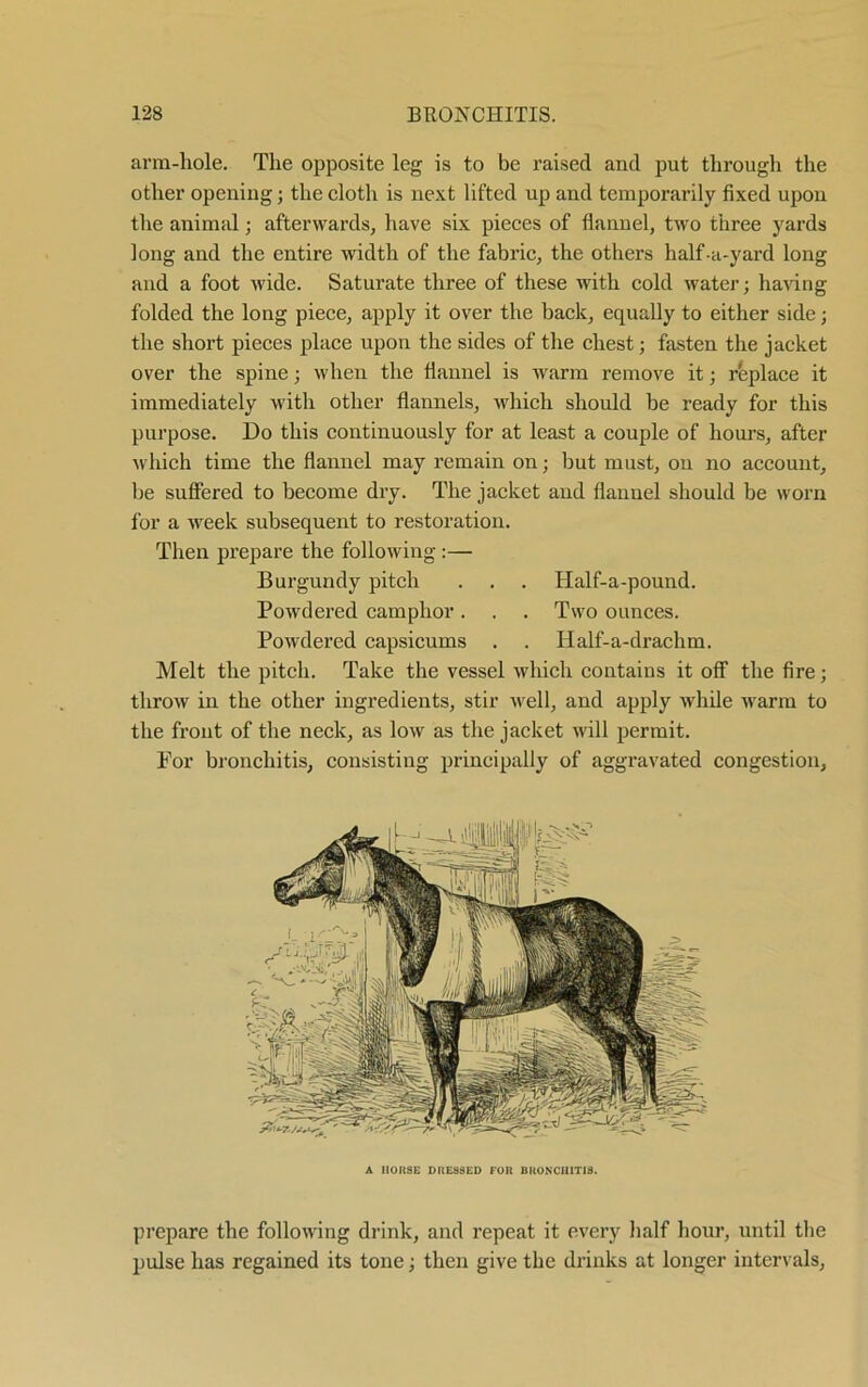 arm-hole. The opposite leg is to be raised and put through the other opening; the cloth is next lifted up and temporarily fixed upon the animal; afterwards, have six pieces of flannel, two three yards long and the entire width of the fabric, the others half-a-yard long and a foot wide. Saturate three of these with cold water; having folded the long piece, apply it over the back, equally to either side; the short pieces place upon the sides of the chest; fasten the jacket over the spine; when the flannel is warm remove it; replace it immediately with other flannels, which should be ready for this purpose. Do this continuously for at least a couple of hours, after which time the flannel may remain on; but must, on no account, be suffered to become dry. The jacket and flannel should be worn for a week subsequent to restoration. Then prepare the following :— Burgundy pitch . . . Half-a-pound. Powdered camphor. . . Two ounces. Powdered capsicums . . Iialf-a-drachm. Melt the pitch. Take the vessel which contains it off the fire; throw in the other ingredients, stir well, and apply while warm to the front of the neck, as low as the jacket will permit. For bronchitis, consisting principally of aggravated congestion, prepare the following drink, and repeat it every half hour, until the pulse has regained its tone; then give the drinks at longer intervals, A IIOK8E DRESSED FOK BRONCHITIS.