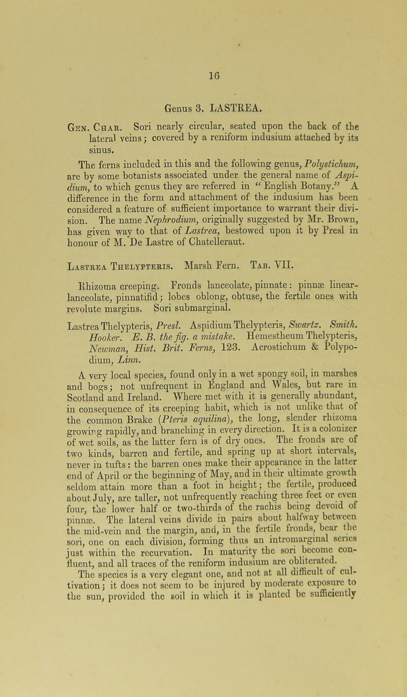 Genus 3. LASTREA. Gen. Char. Sori nearly circular, seated upon the back of the lateral veins ; covered by a reniform indusium attached by its sinus. The ferns included in this and the following genus, Polystichum, are by some botanists associated under the general name of Aspi- dium, to which genus they are referred in “ English Botany.” A difference in the form and attachment of the indusium has been considered a feature of sufficient importance to warrant their divi- sion. The name Nephrodium, originally suggested by Mr. Brown, has given way to that of Lastrea, bestowed upon it by Presl in honour of M. 13e Lastre of Chatelleraut. Lastrea Thelypteris. Marsh Fern. Tab. VII. Rhizoma creeping. Fronds lanceolate, pinnate : pinnae linear- lanceolate, pinnatifid; lobes oblong, obtuse, the fertile ones with revolute margins. Sori submarginal. Lastrea Thelypteris, Presl. Aspidium Thelypteris, Swartz. Smith. Hooker. E. B. the fig. a mistake. Hemestheum Thelypteris, Newman, Hist. Brit. Ferns, 123. Acrostichum & Polypo- dium, Linn. A very local species, found only in a wet spongy soil, in marshes and bogs; not unfrequent in England and Wales, but rare in Scotland and Ireland. Where met with it is generally abundant, in consequence of its creeping habit, which is not unlike that of the common Brake (Pteris aquilina), the long, slender rhizoma growing rapidly, and branching in every direction. It is a colonizer of wet soils, as the latter fern is of dry ones. The fronds are of two kinds, barren and fertile, and spring up at short intervals, never in tufts: the barren ones make their appearance in the latter end of April or the beginning of May, and in their ultimate growth seldom attain more than a foot in height; the fertile, produced about July, are taller, not unfrequently reaching three feet or e\en four, the lower half or two-thirds of the rachis being devoid of pinme. The lateral veins divide in pairs about halfway between the mid-vein and the margin, and, in the fertile fronds, bear the sori, one on each division, forming thus an intromarginal series just within the recurvation. In maturity the sori become con- fluent, and all traces of the reniform indusium are obliterated. The species is a very elegant one, and not at all difficult of cul- tivation ; it does not seem to be injured by moderate exposure to the sun, provided the soil in which it is planted be sufficiently