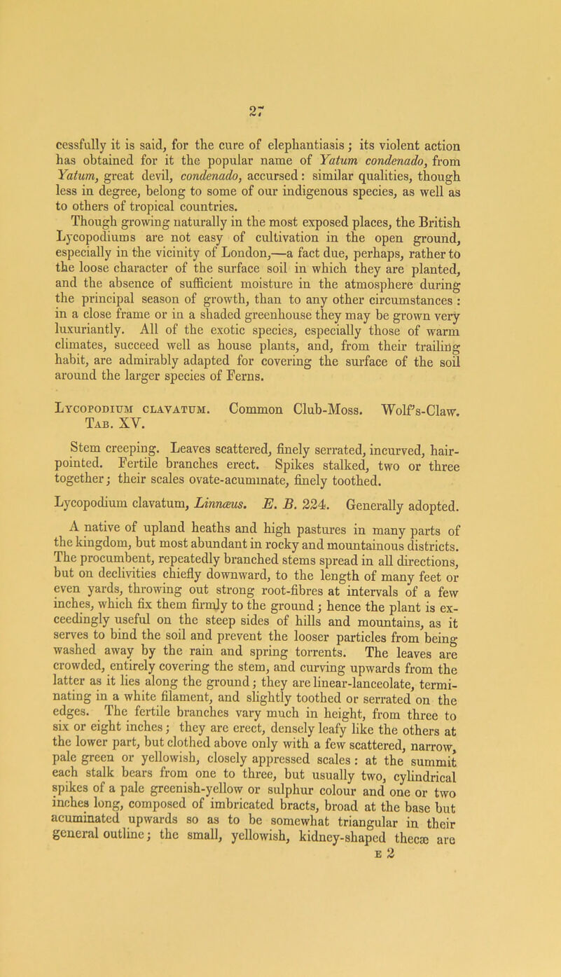 cessfully it is said, for the cure of elephantiasis; its violent action has obtained for it the popular name of Yatum condenado, from Yatum, great devil, condenado, accursed: similar qualities, though less in degree, belong to some of our indigenous species, as well as to others of tropical countries. Though growing naturally in the most exposed places, the British Lycopodiums are not easy of cultivation in the open ground, especially in the vicinity of London,—a fact due, perhaps, rather to the loose character of the surface soil in which they are planted, and the absence of sufficient moisture in the atmosphere during the principal season of growth, than to any other circumstances : in a close frame or in a shaded greenhouse they may be grown very luxuriantly. All of the exotic species, especially those of warm climates, succeed well as house plants, and, from their trailing habit, are admirably adapted for covering the surface of the sod around the larger species of Ferns. Lycopodium clavatum. Common Club-Moss. Wolfs-Claw. Tab. XV. Stem creeping. Leaves scattered, finely serrated, incurved, hair- pointed. Fertde branches erect. Spikes stalked, two or three together; their scales ovate-acuminate, finely toothed. Lycopodium clavatum, Linnaeus. E. B. 224. Generally adopted. A native of upland heaths and high pastures in many parts of the kingdom, but most abundant in rocky and mountainous districts. The procumbent, repeatedly branched stems spread in all directions, but on declivities chiefly downward, to the length of many feet or even yards, throwing out strong root-fibres at intervals of a few inches, which fix them firmly to the ground; hence the plant is ex- ceedingly useful on the steep sides of hills and mountains, as it serves to bind the soil and prevent the looser particles from being washed away by the rain and spring torrents. The leaves are crowded, entirely covering the stem, and curving upwards from the latter as it lies along the ground; they are linear-lanceolate, termi- nating in a white filament, and slightly toothed or serrated on the edges. The fertile branches vary much in height, from three to six or eight inches; they are erect, densely leafy like the others at the lower part, but clothed above only with a few scattered, narrow, pale green or yellowish, closely appressed scales : at the summit each stalk bears from one to three, but usually two, cylindrical spikes of a pale greenish-yellow or sulphur colour and one or two inches long, composed of imbricated bracts, broad at the base but acuminated upwards so as to be somewhat triangular in their general outline; the small, yellowish, kidney-shaped theca) are e 2