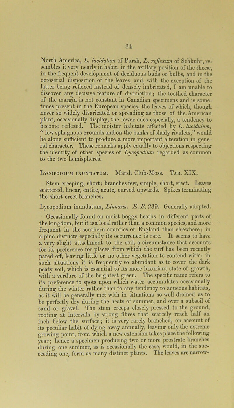 North America, L. lucidulum of Pursh, L. reflexum of Schkuhr, re- sembles it very nearly in habit, in the axillary position of the thecae, in the frequent development of deciduous buds or bulbs, and in the octoserial disposition of the leaves, and, with the exception of the latter being reflexed instead of densely imbricated, I am unable to discover any decisive feature of distinction; the toothed character of the margin is not constant in Canadian specimens and is some- times present in the European species, the leaves of which, though never so widely divaricated or spreading as those of the-American plant, occasionally display, the lower ones especially, a tendency to become reflexed. The moister habitats affected by L. lucidulum, “ low sphagnous grounds and on the banks of shady rivulets/'’ would be alone sufficient to produce a more important alteration in gene- ral character. These remarks apply equally to objections respecting the identity of other species of Lycopodium regarded as common to the two hemispheres. Lycopodium inundatum. Marsh Club-Moss. Tab. XIX. Stem creeping, short: branches few, simple, short, erect. Leaves scattered, linear, entire, acute, curved upwards. Spikes terminating the short erect branches. Lycopodium inundatum, Linnaus. E. B. 239. Generally adopted. Occasionally found on moist boggy heaths in different parts of the kingdom, but it is a local rather than a common species, and more frequent in the southern counties of England than elsewhere; in alpine districts especially its occurrence is rare. It seems to have a very slight attachment to the soil, a circumstance that accounts for its preference for places from which the turf has been recently pared off, leaving little or no other vegetation to contend with-; in such situations it is frequently so abundant as to cover the dark peaty soil, which is essential to its more luxuriant state of growth, with a verdure of the brightest green. The specific name refers to its preference to spots upon which water accumulates occasionally during the winter rather than to any tendency to aqueous habitats, as it will be generally met with in situations so well drained as to be perfectly dry daring the heats of summer, and over a subsoil of sand or gravel. The stem creeps closely pressed to the ground, rooting at intervals by strong fibres that scarcely reach half an inch below the surface; it is very rarely branched, on account of its peculiar habit of dying away annually, leaving only the extreme growing point, from which a new extension takes place the following year; hence a specimen producing two or more prostrate branches during one summer, as is occasionally the case, would, in the suc- ceeding one, form as many distinct plants. The leaves are narrow-