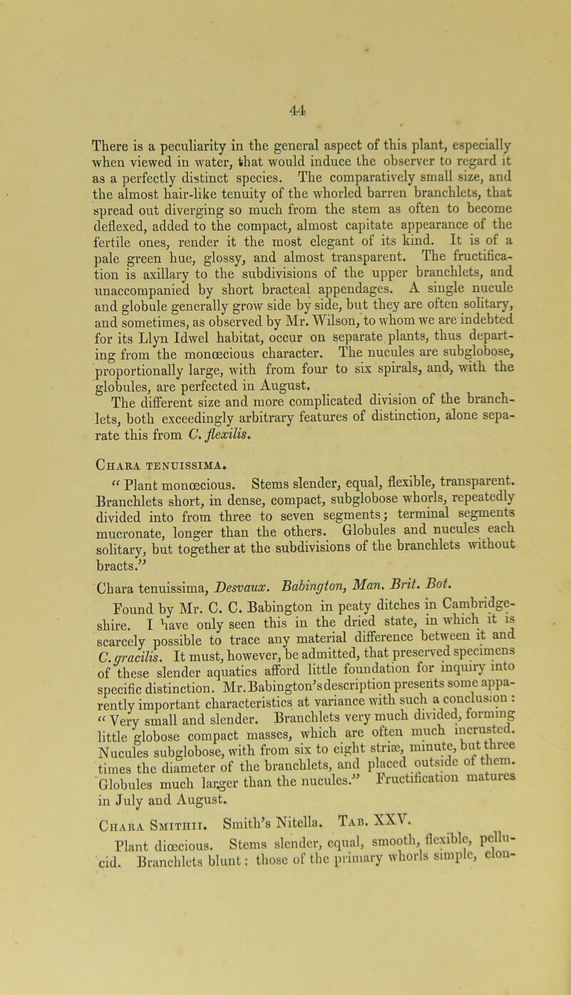 There is a peculiarity in the general aspect of this plant, especially when viewed in water, that would induce the observer to regard it as a perfectly distinct species. The comparatively small size, and the almost hair-like tenuity of the whorlcd barren branchlets, that spread out diverging so much from the stem as often to become deflexed, added to the compact, almost capitate appearance of the fertile ones, render it the most elegant of its kind. It is of a pale green hue, glossy, and almost transparent. The fructifica- tion is axillary to the subdivisions of the upper branchlets, and unaccompanied by short bracteal appendages. A single nucule and globule generally grow side by side, but they are often solitary, and sometimes, as observed by Mr. Wilson, to whom we are indebted for its Llyn Idwel habitat, occur on separate plants, thus depart- ing from the monoecious character. The nucules are subglobose, proportionally large, with from four to six spirals, and, with the globules, are perfected in August. The different size and more complicated division of the branch- lets, both exceedingly arbitrary features of distinction, alone sepa- rate this from C. flexilis. Chara tenuissima. “ Plant monoecious. Stems slender, equal, flexible, transparent. Branchlets short, in dense, compact, subglobose whorls, repeatedly divided into from three to seven segments; terminal segments mucronate, longer than the others. Globules and nucules each solitary, but together at the subdivisions of the branchlets without bracts.'’-’ Chara tenuissima, Desvaux. Babington, Man. Brit. Bot. Found by Mr. C. C. Babington in peaty ditches in Cambridge- shire. I have only seen this in the dried state, in which it is scarcely possible to trace any material difference between it and C. gracilis. It must, however, be admitted, that preserved specimens of these slender aquatics afford little foundation for inquiry into specific distinction. Mr. Babington’sdescription presents some appa- rently important characteristics at variance with such aconclusion : “ Very small and slender. Branchlets very much divided, forming little globose compact masses, which are often much incrustcd. Nucules subglobose, with from six to eight striae, minute, but three times the diameter of the branchlets, and placed outside of them. Globules much larger than the nucules.” Fructification matures in July and August. Chara Smithii. Smith’s Nitella. Tab. XX^ . Plant dioecious. Stems slender, equal, smooth, flexible, pcllm cid. Branchlets blunt: those of the primary whorls simple, elou-